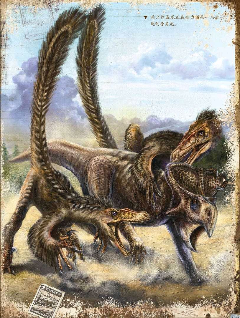 恐龙探密第六期 伶盗龙对战原角龙   原角龙就像一只体型变成4米,没有