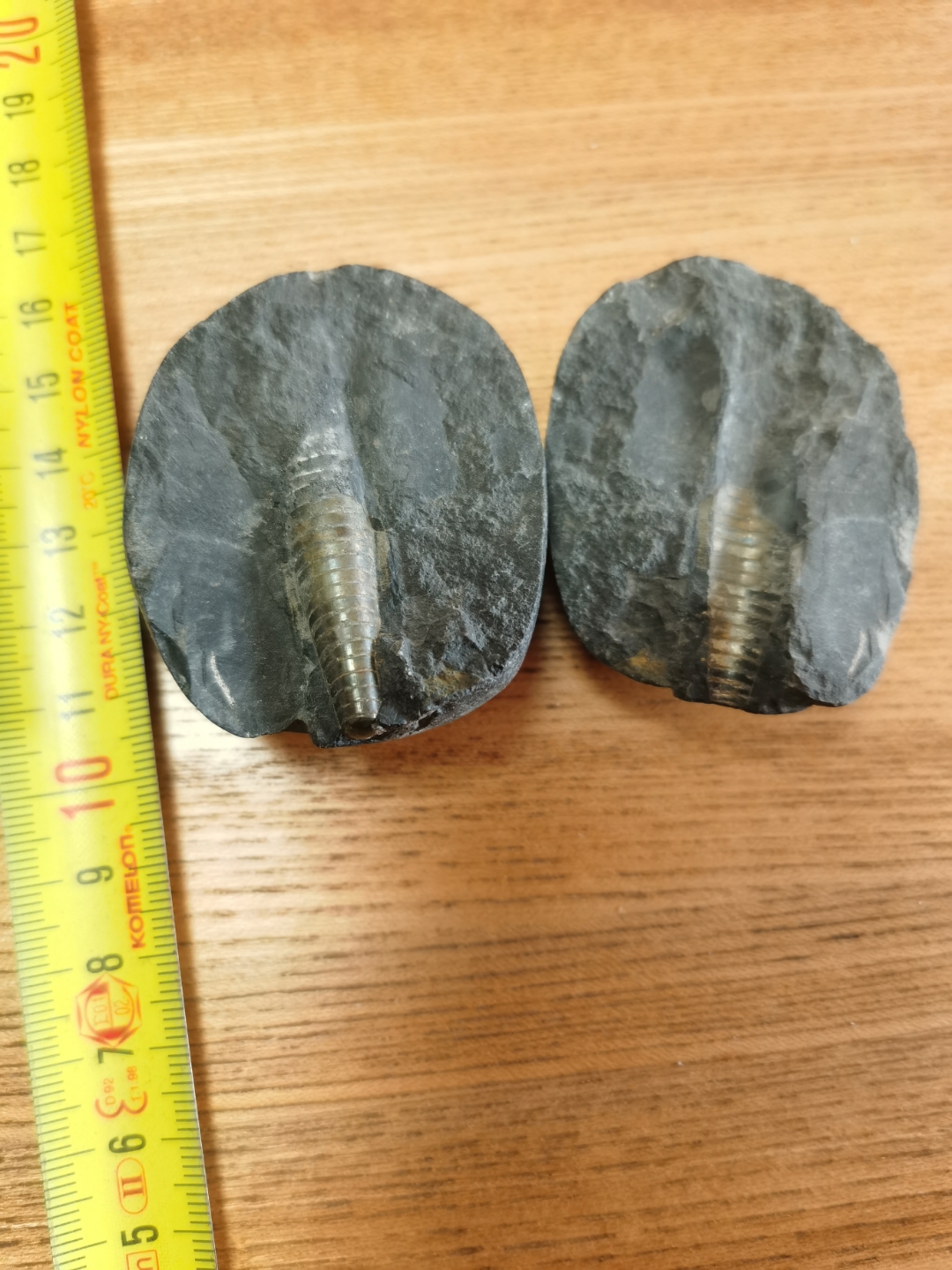 在尼泊尔淘的化石,不知是不是角石化石,为什么好象变成金属铜的了,请