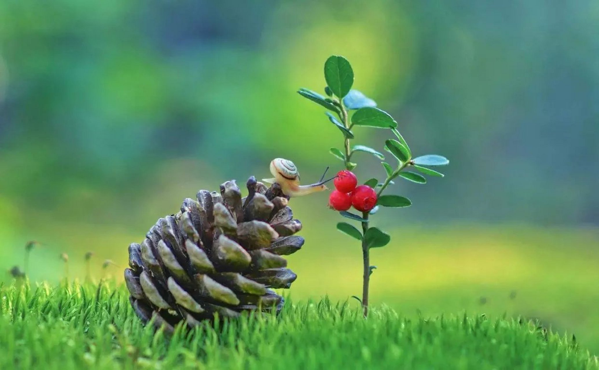 南无大慈大悲观世音菩萨!保佑顺利平安!