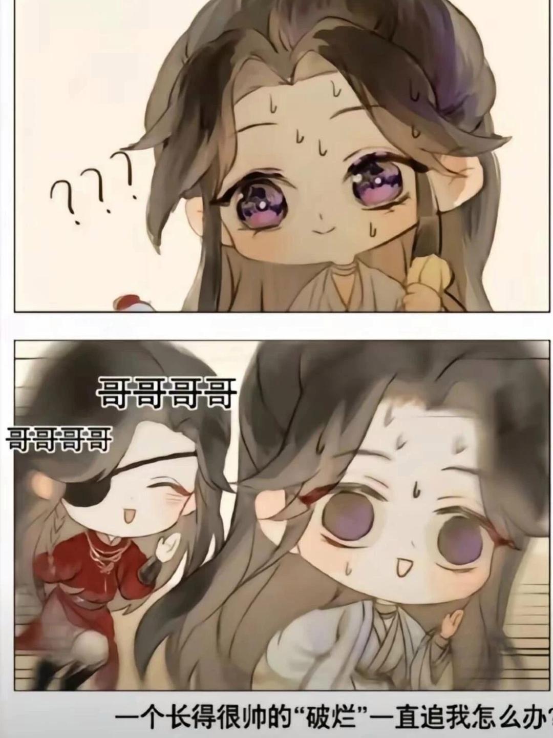 咳咳,花怜梗图和表情包