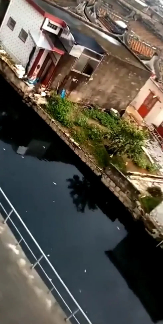 广东# 广东省汕头市潮南区成田镇简朴村#河水污染严重# #广东头条