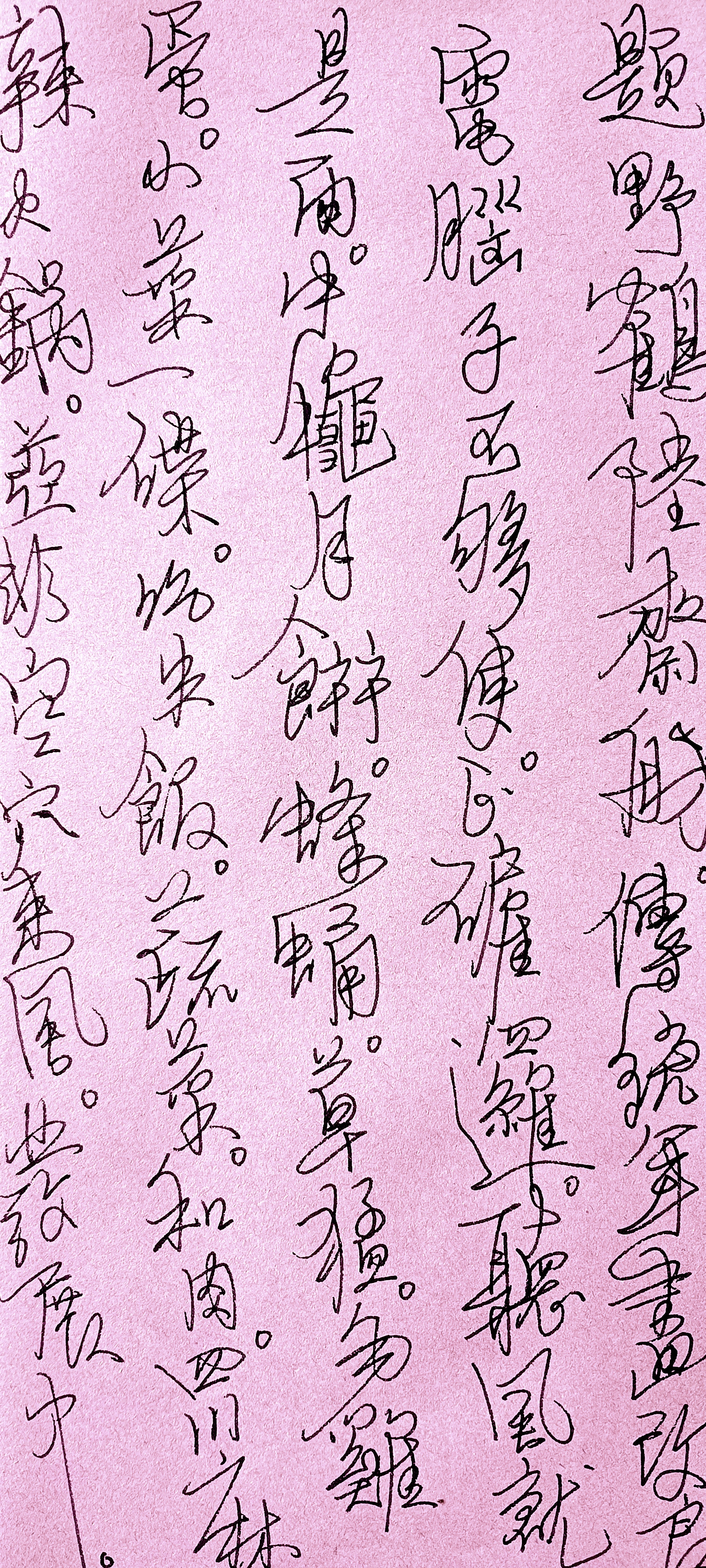 哇,这粉色的纸张上密密麻麻的小字,感觉像是穿越回