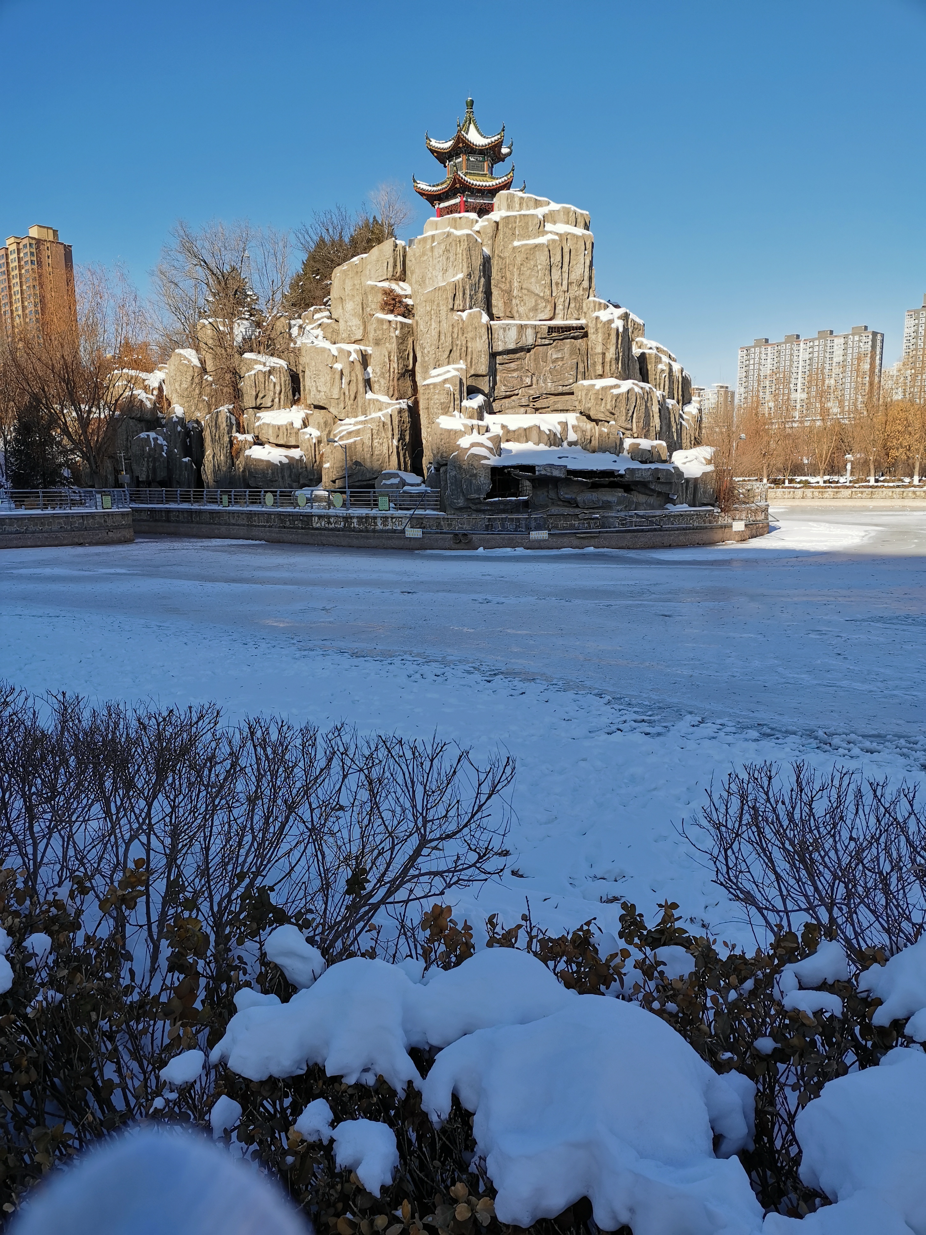 大运河森林公园雪景图片