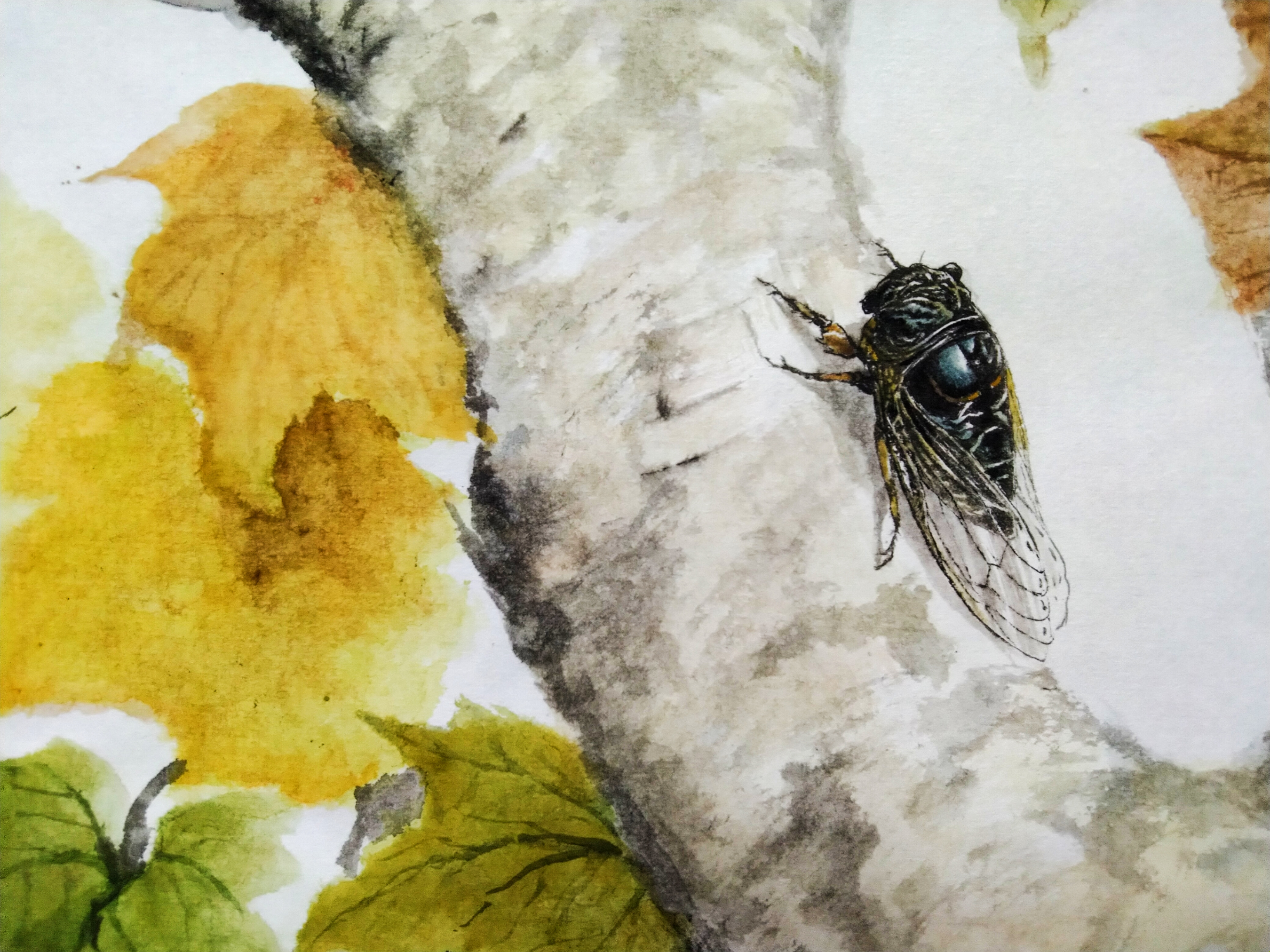 于笔墨间寻蝉意,在传承中绽新光