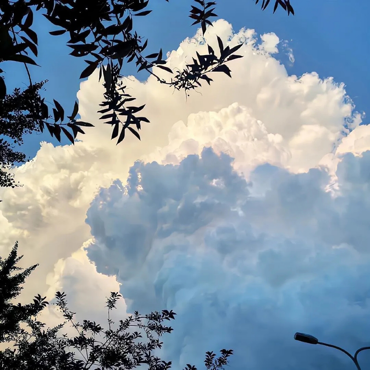 wechat背景图#朋友圈背景图# #背景图# #ins风背景图# #热点引擎计划