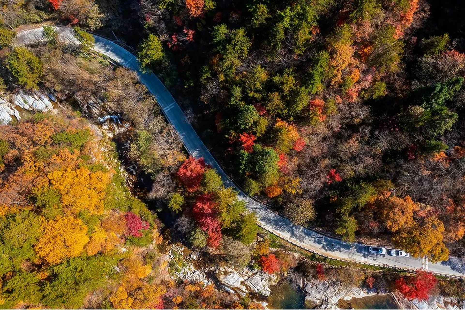 鹞落坪国家自然保护区位于安徽岳西县,坐落在大别山的主峰地区.