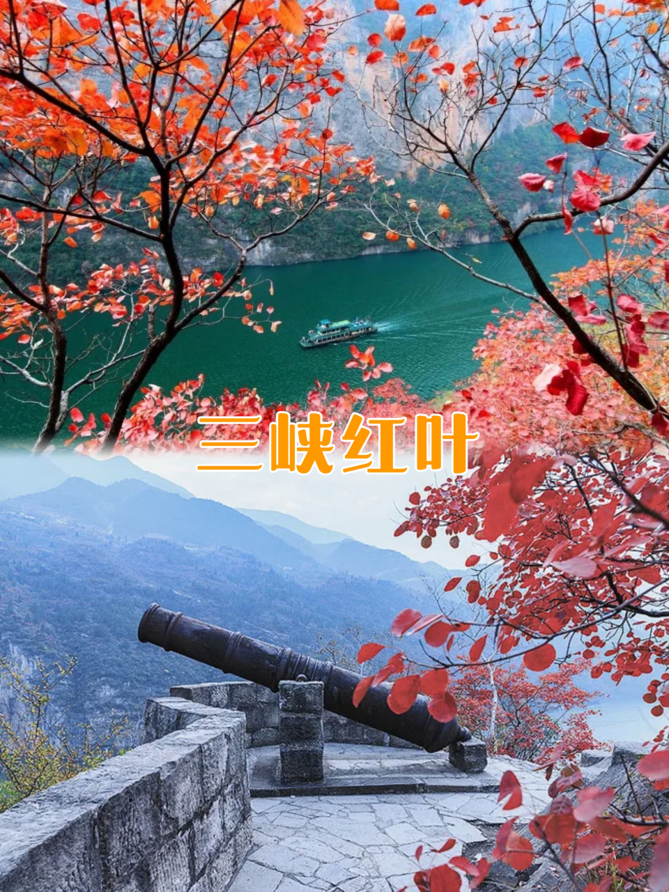 长江三峡红叶9393:适合11月赏秋的地方 9393三峡红叶季