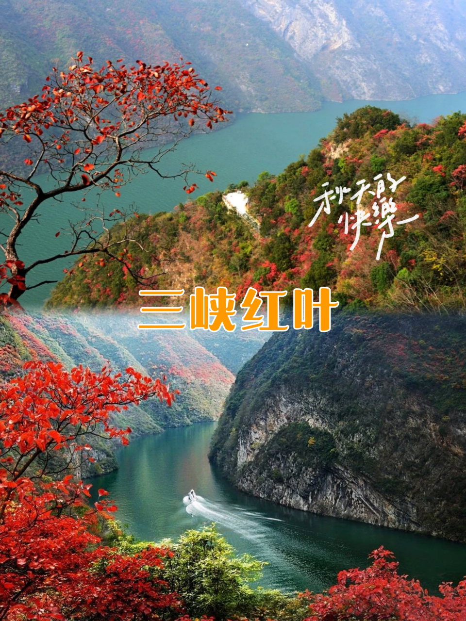 长江三峡红叶9393:适合11月赏秋的地方 9393三峡红叶季