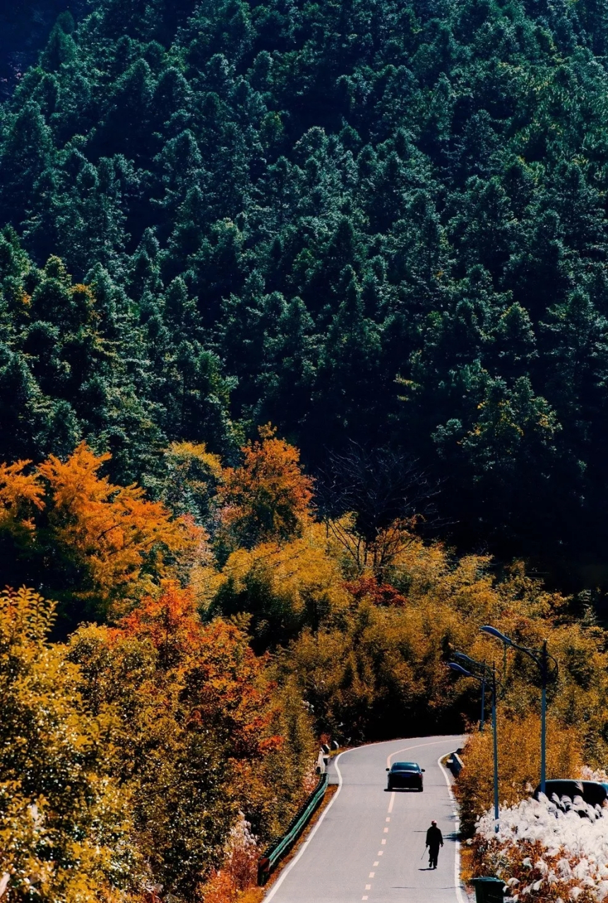 马丁公路起于安徽六安市金寨县,终点在马鬃岭自然保护区和丁埠老街