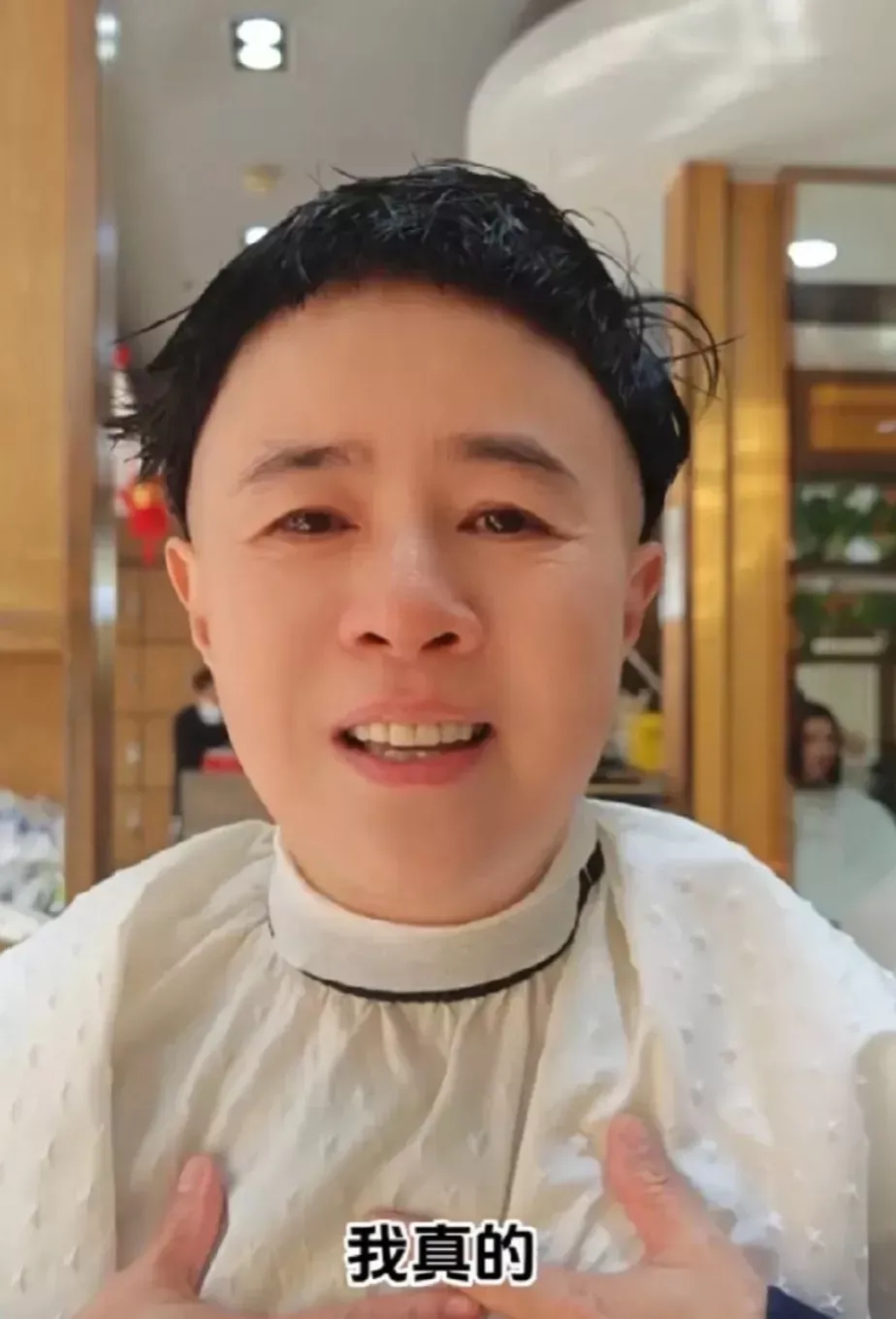 金龟子说别再让她换发型了-金龟子为何丢下自己的工作主动要求去做