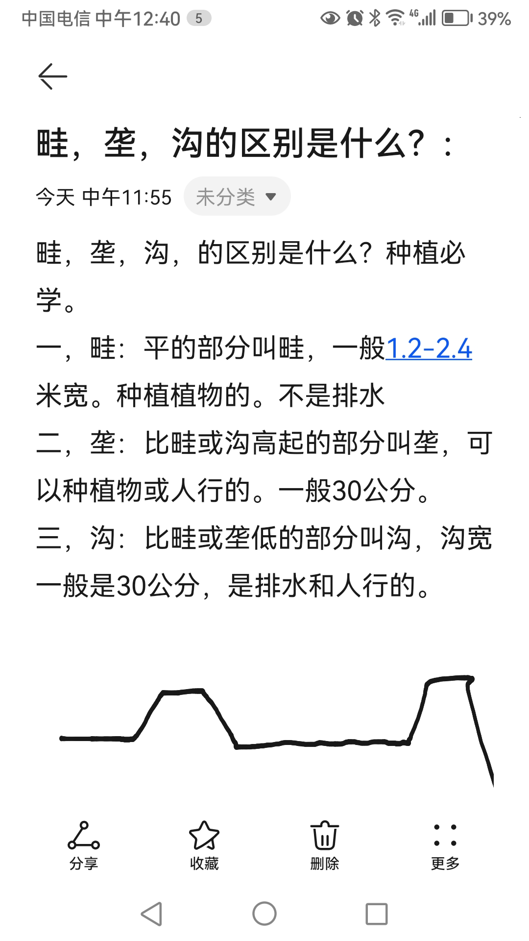 在自然的怀抱中,心情变得宁静而充实