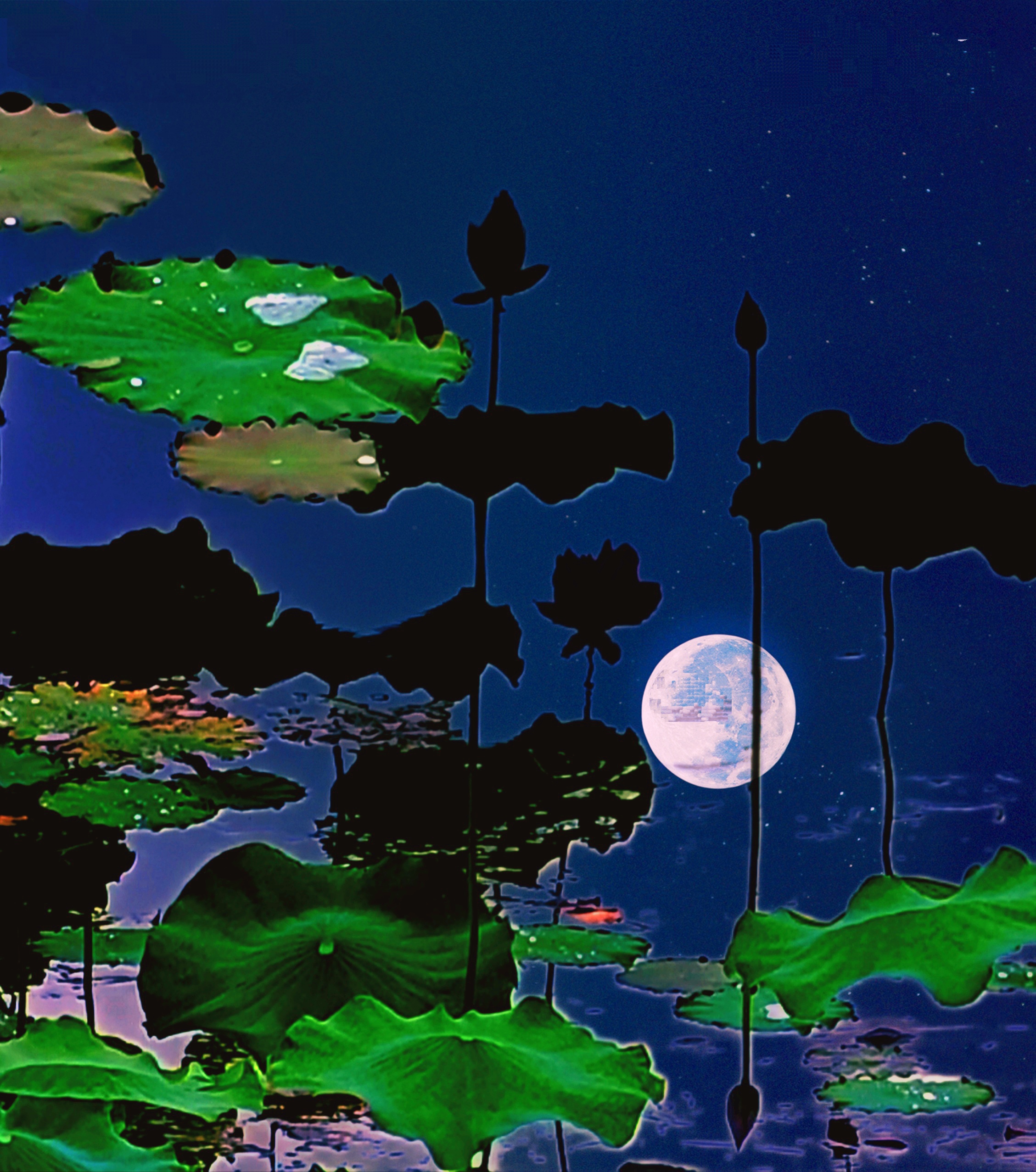 深蓝色的天幕上,星星点点,仿佛是夜的精灵在闪烁.