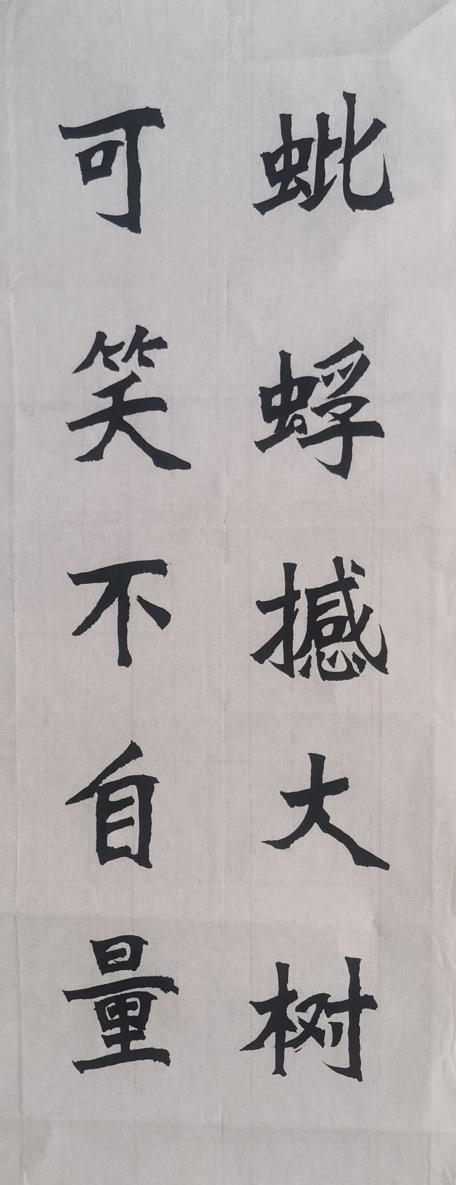 新魏体书法(诗词名句):蚍蜉撼大树,可笑不自量!