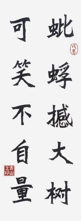 新魏体书法(诗词名句):蚍蜉撼大树,可笑不自量!