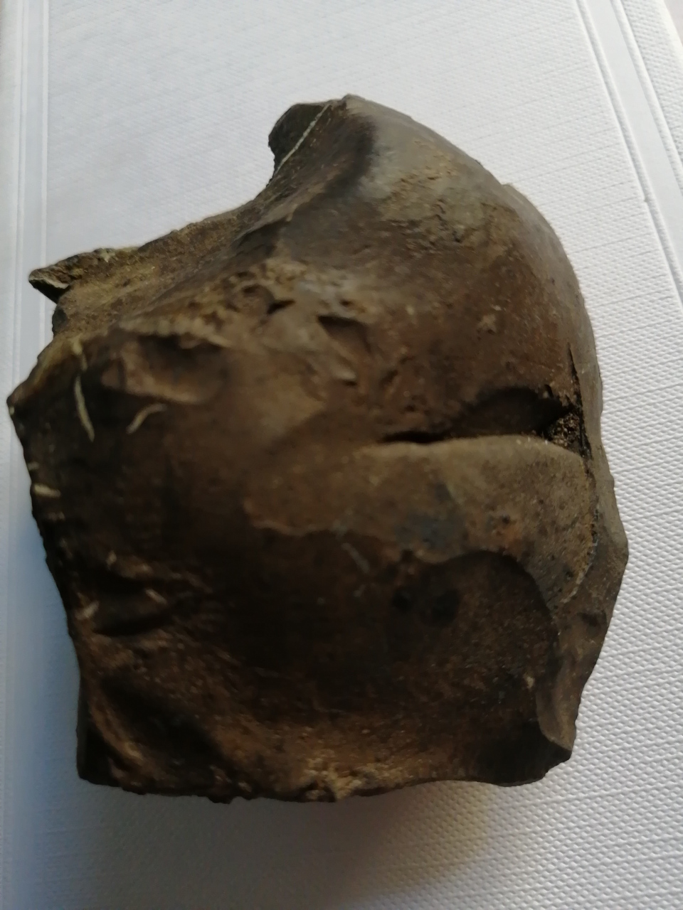 好友们下午好,我捡到一块面部表情酷似佛头像半边脸