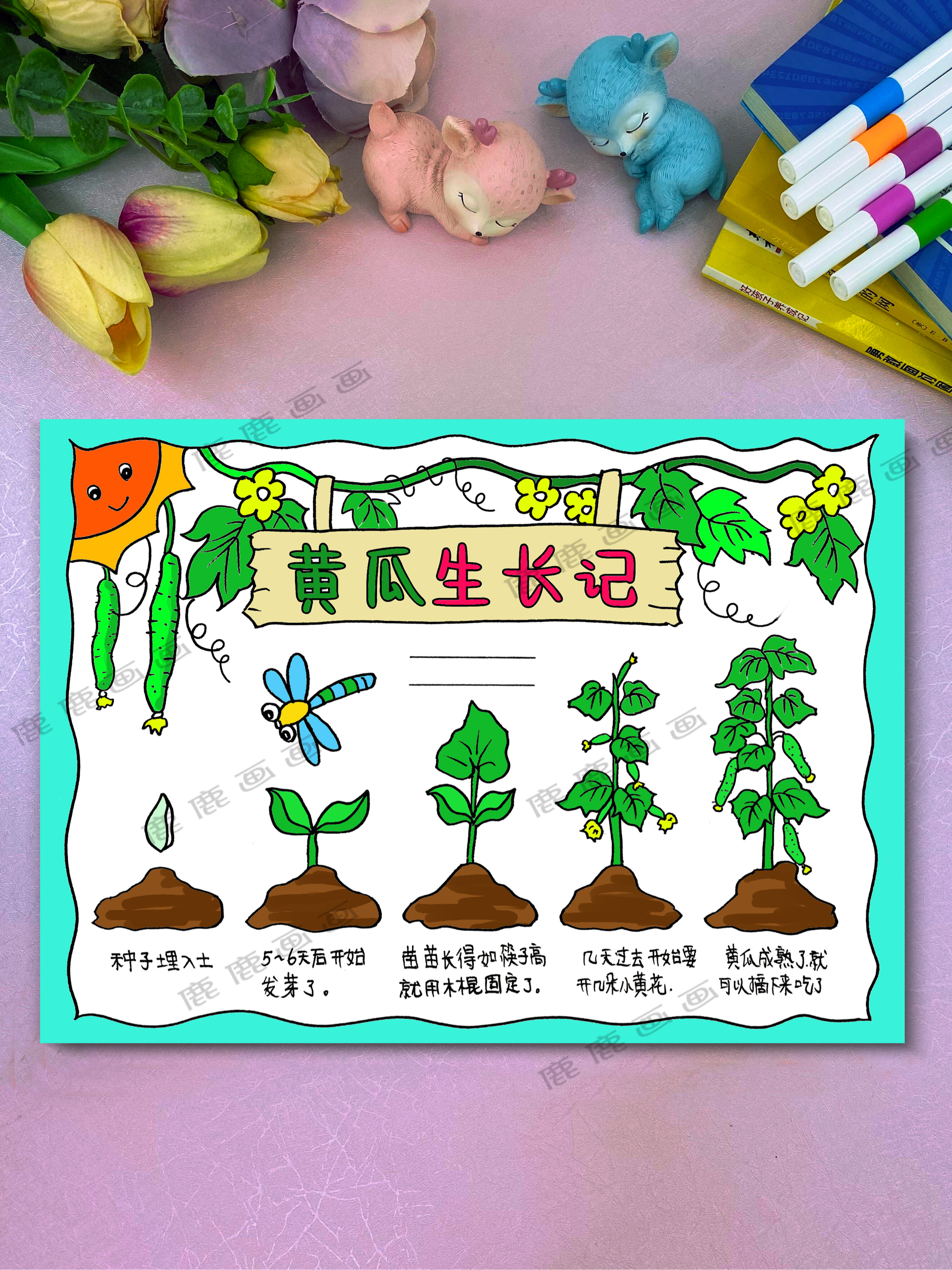 黄瓜豌豆成长记录手抄报模板线描稿