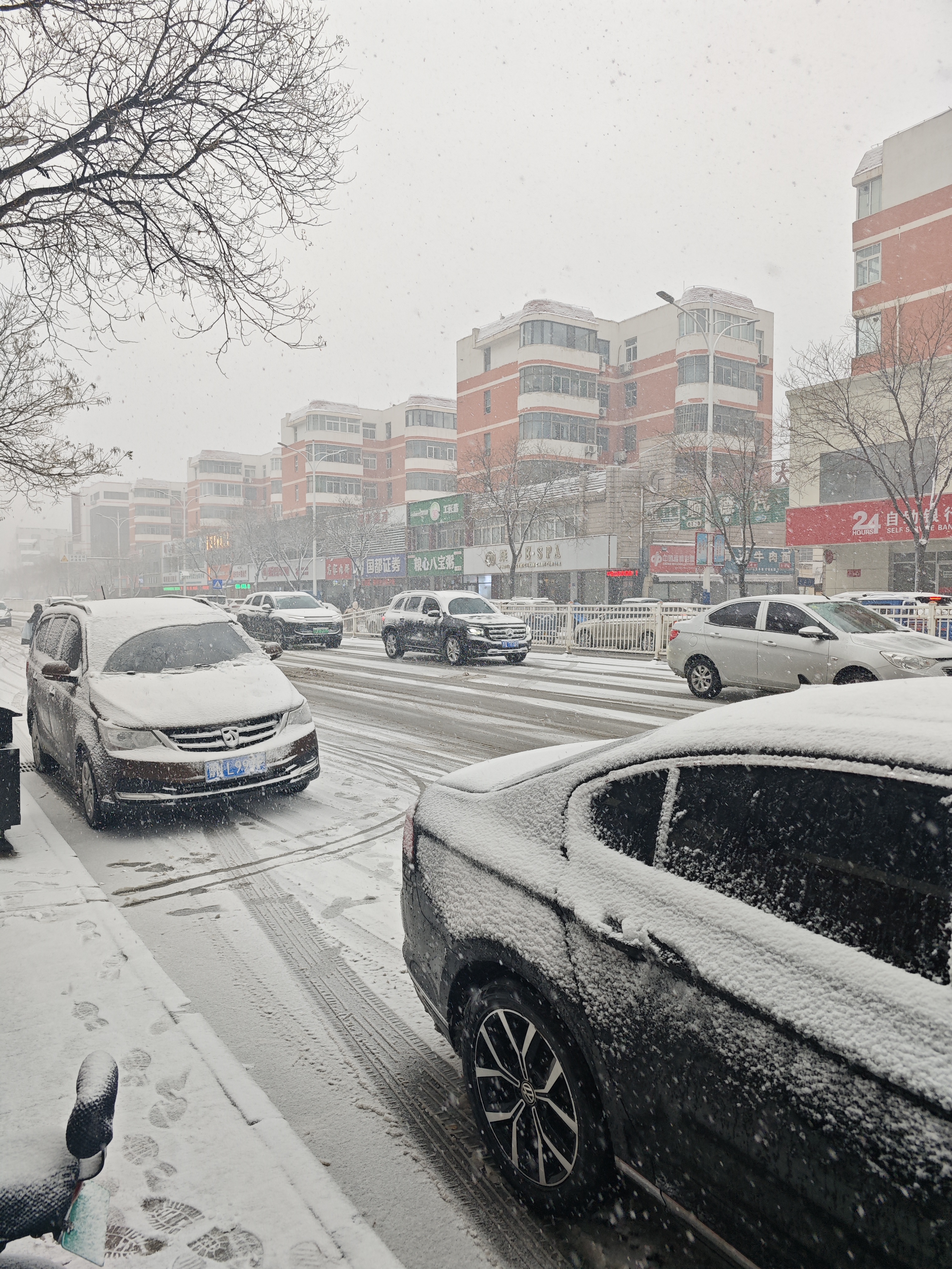 下雪图片实景图片