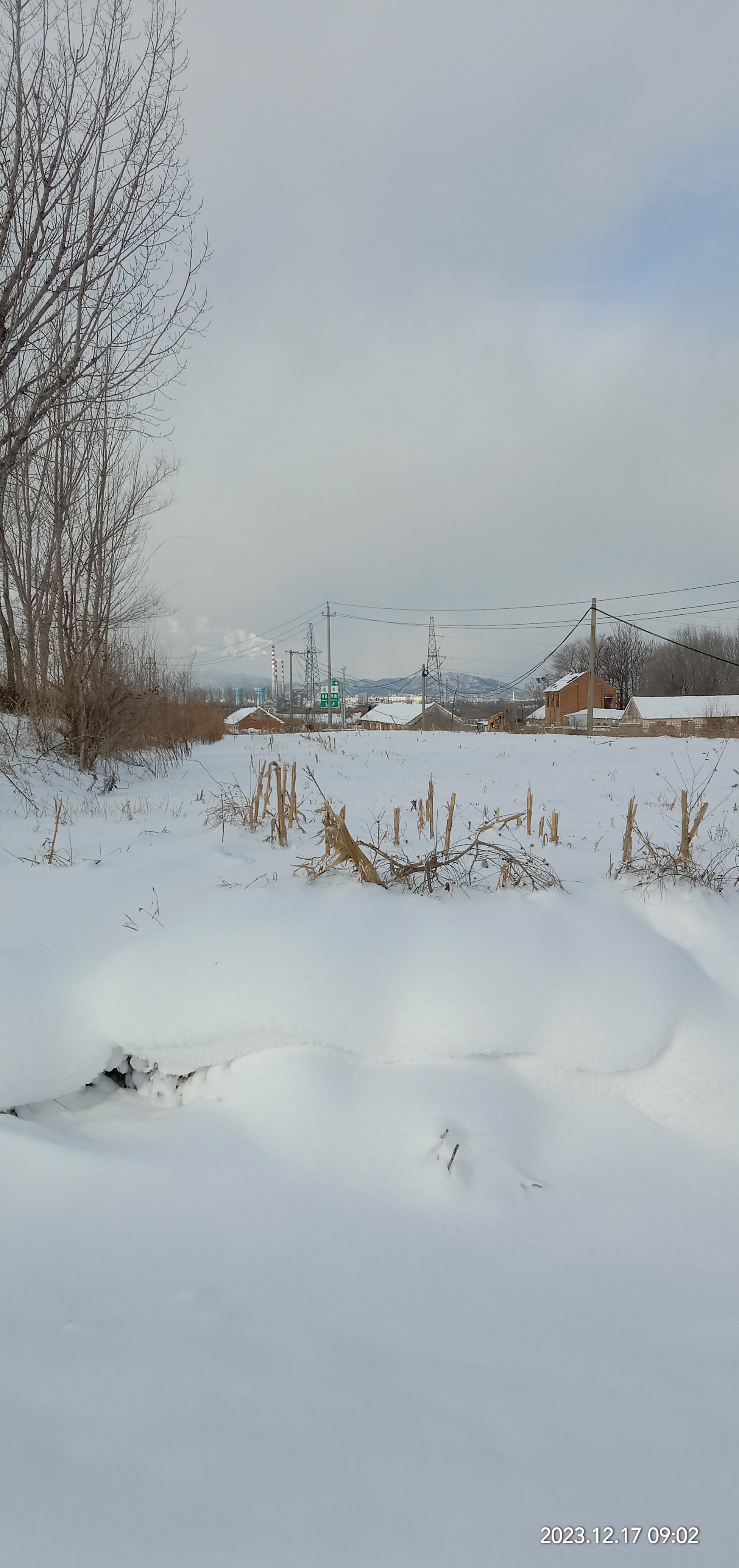 苍茫大地白雪皑皑图片