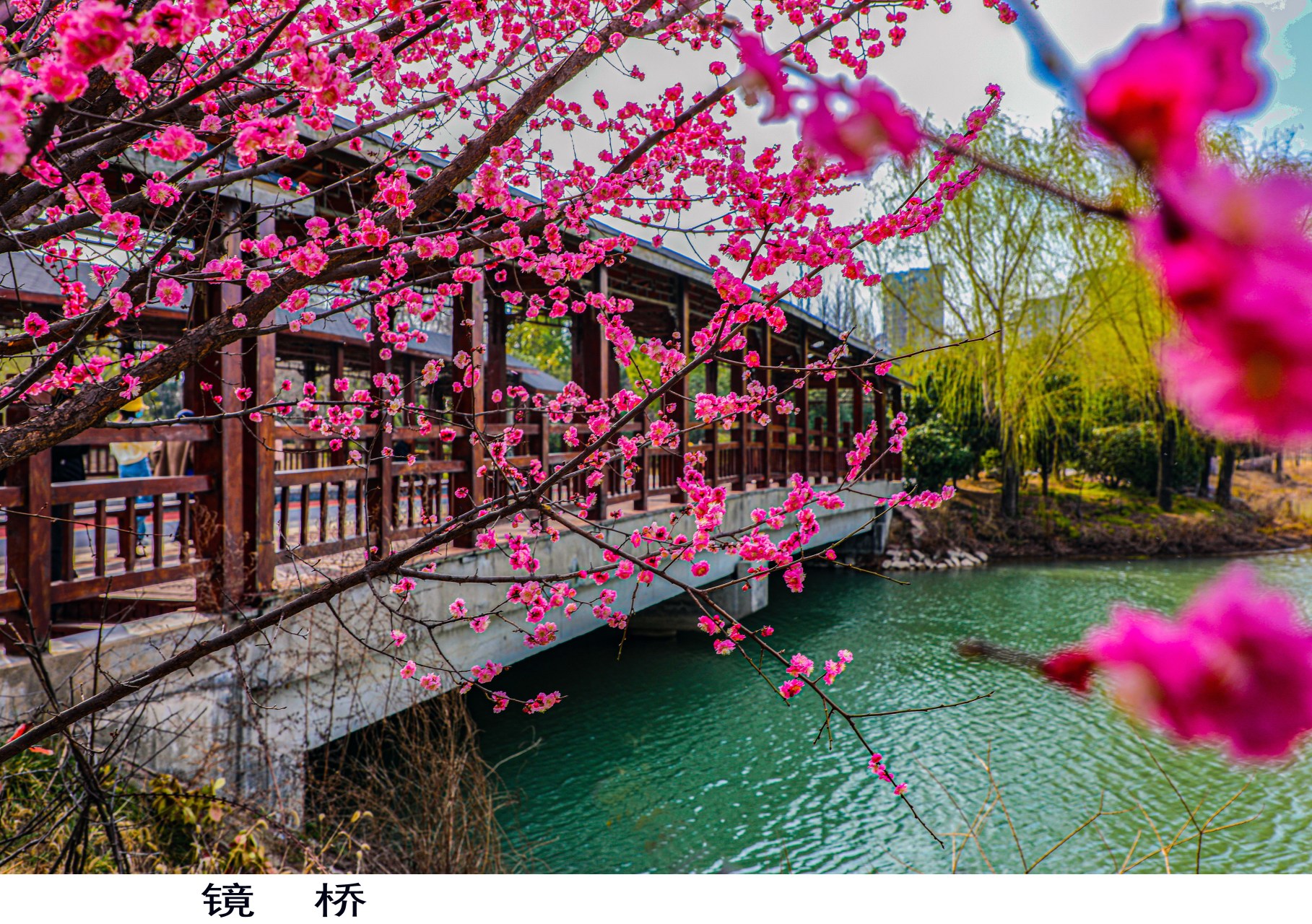 临颍县黄龙湿地公园美得让人陶醉#10月月度活动##周末这样玩# 临颍县