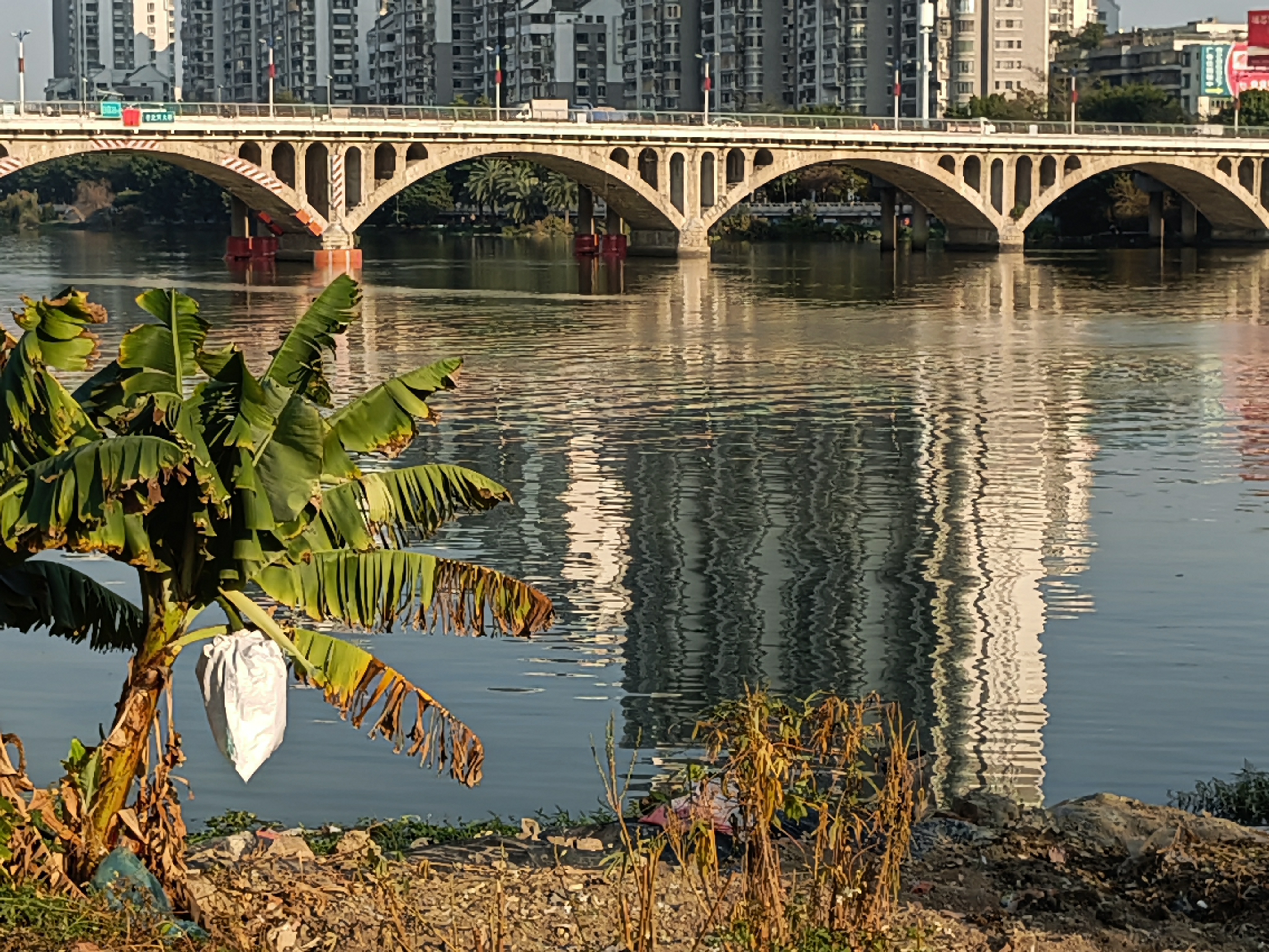 揭阳市南河大桥简介图片