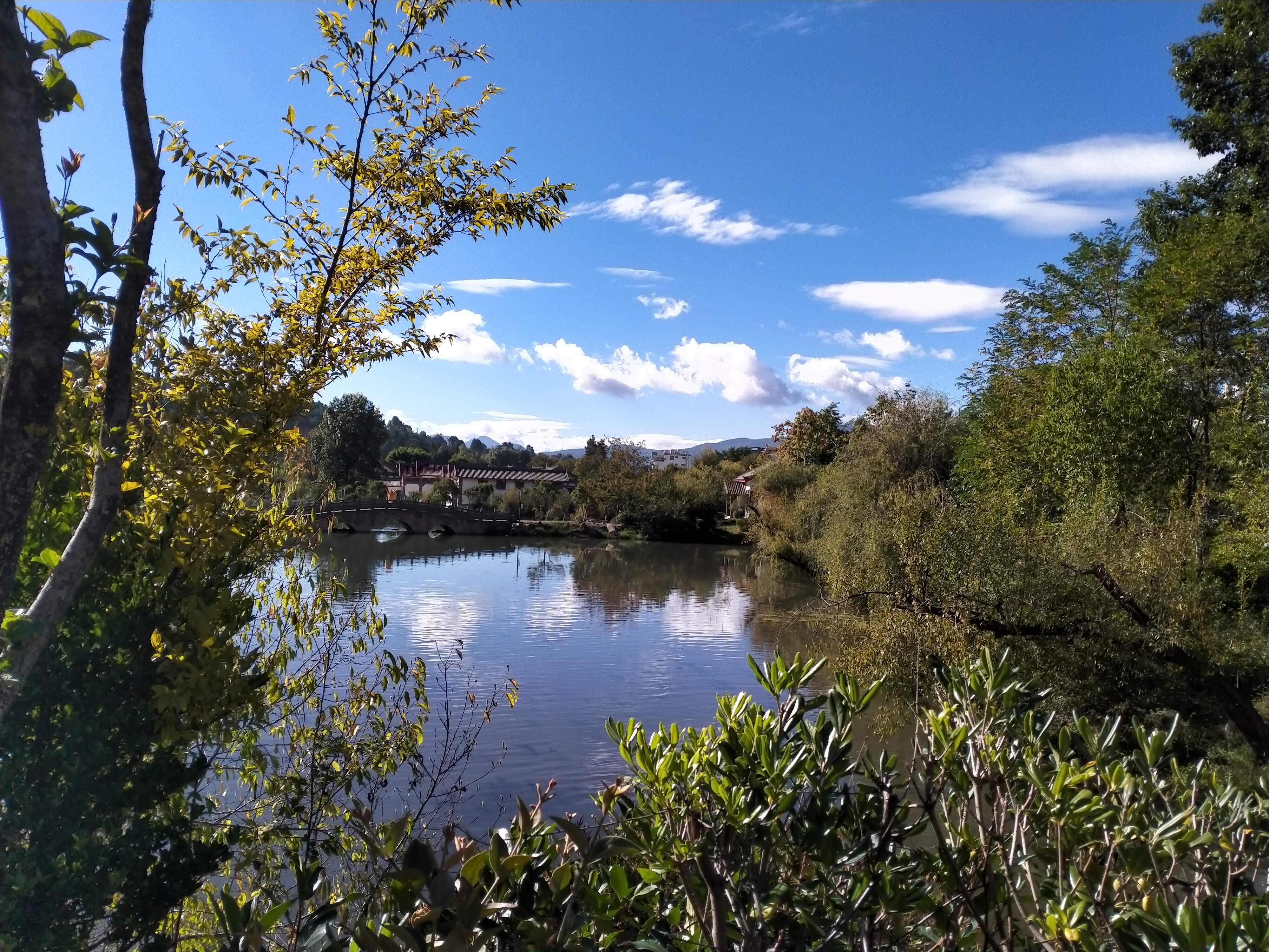 丽江黑龙潭美景