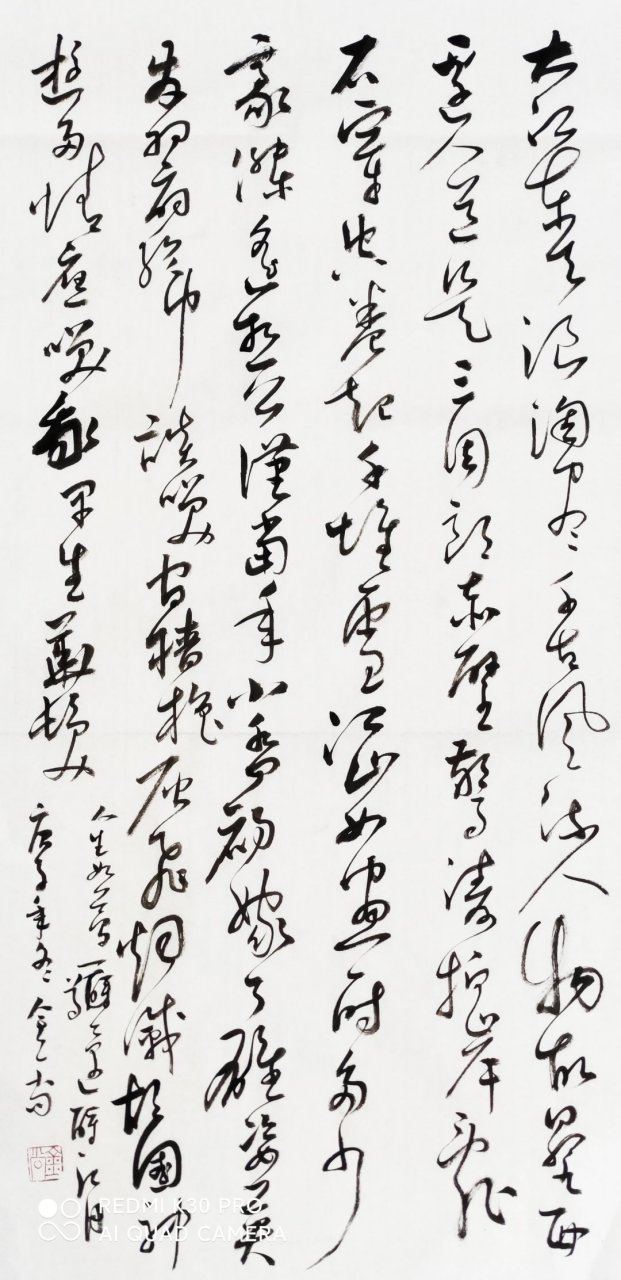 行草两体  苏轼念奴娇赤壁怀古  刘金尚书