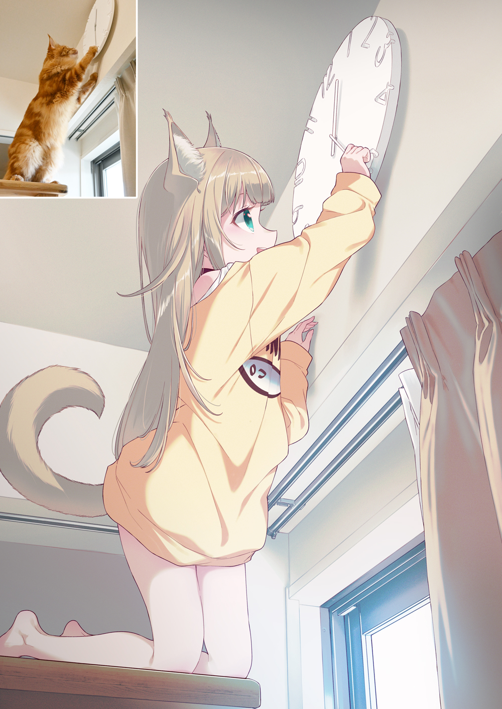 分享40原老师的猫猫