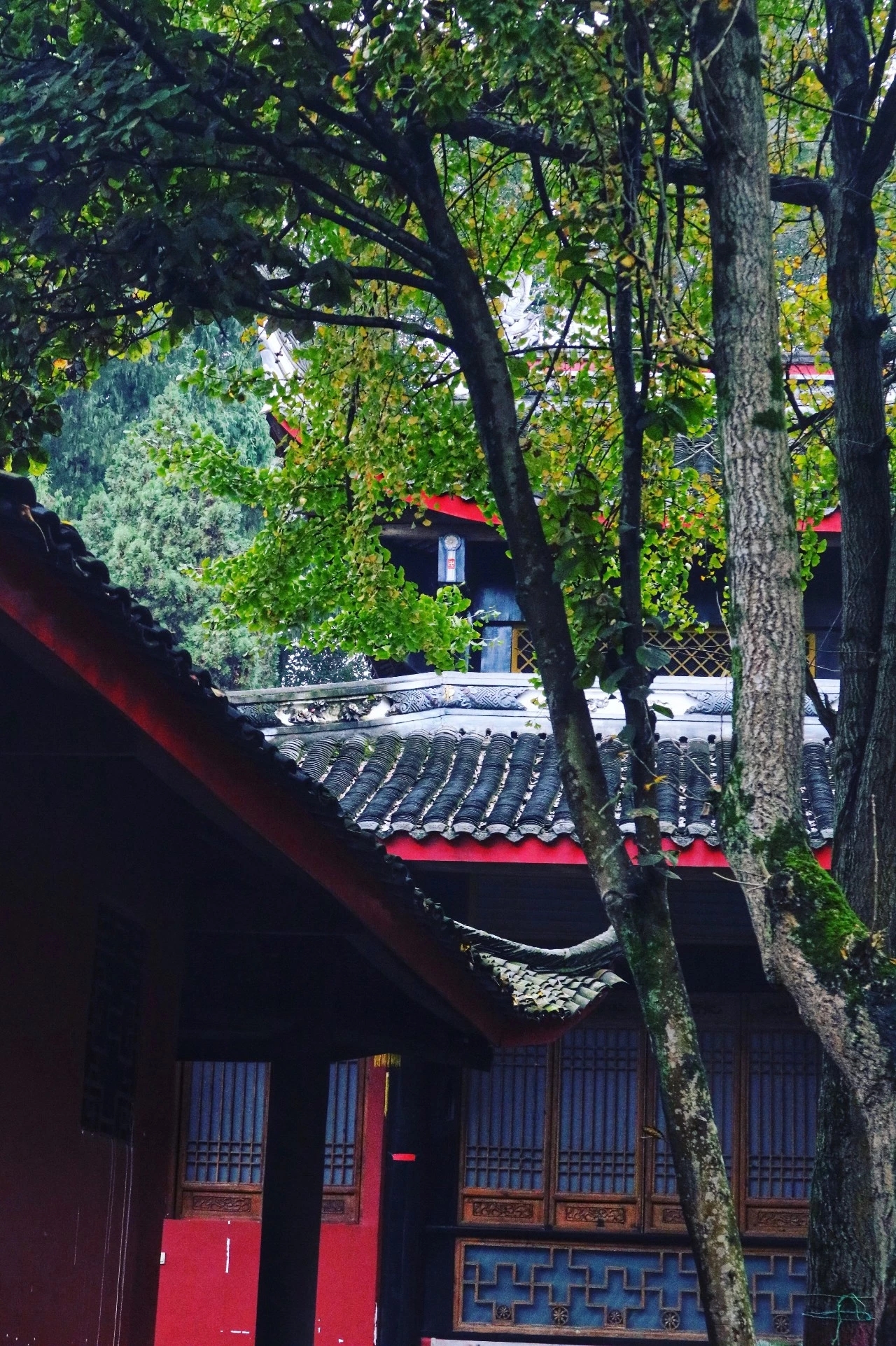 邛崃白鹤山又名鹤林寺,始建于隋代,初名白鹤寺,位于邛崃市白鹤乡境内