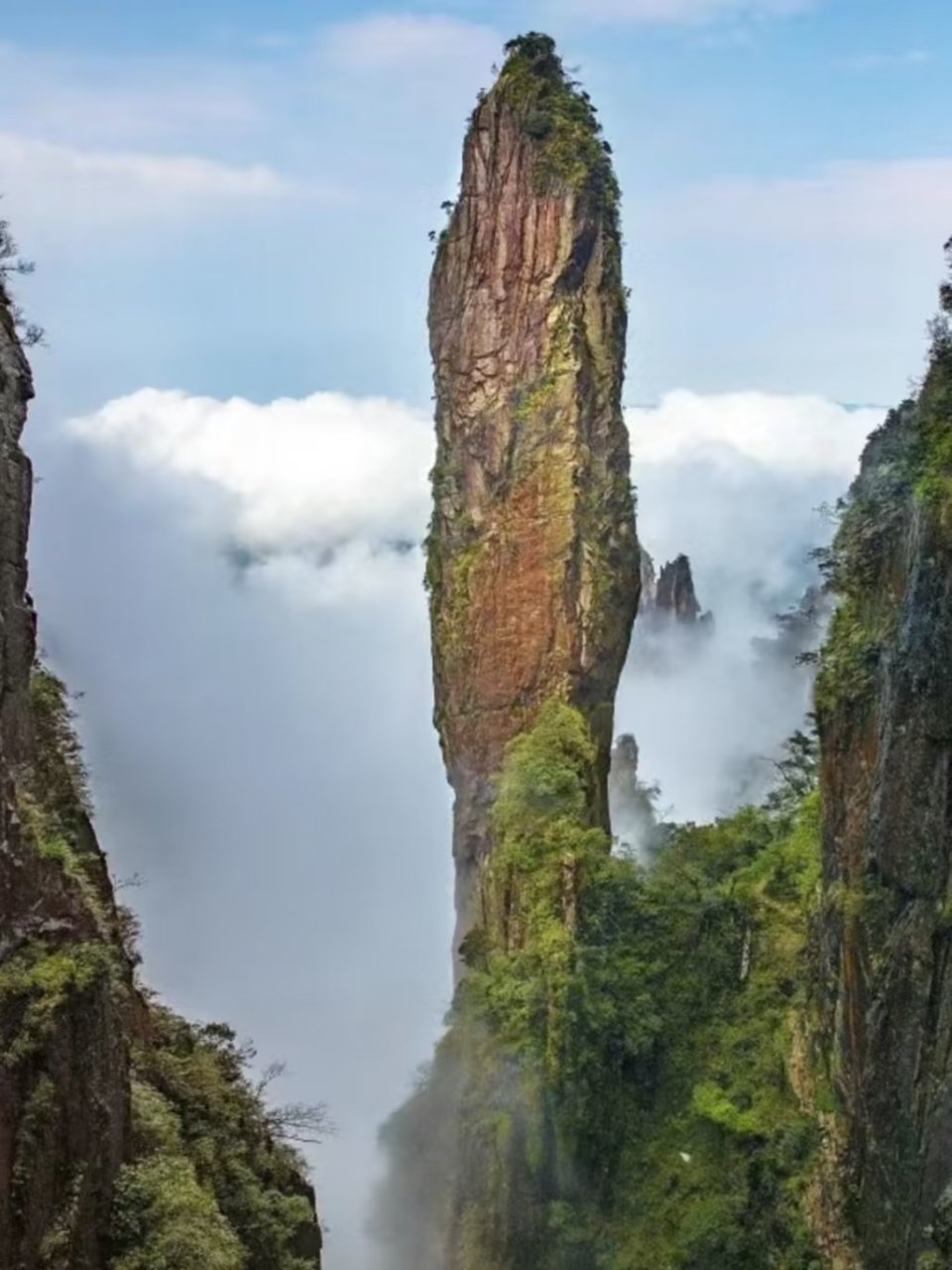 旅游攻略#莽山五指峰景区:距离郴州高铁站两个半小时车程,被称为灿妹