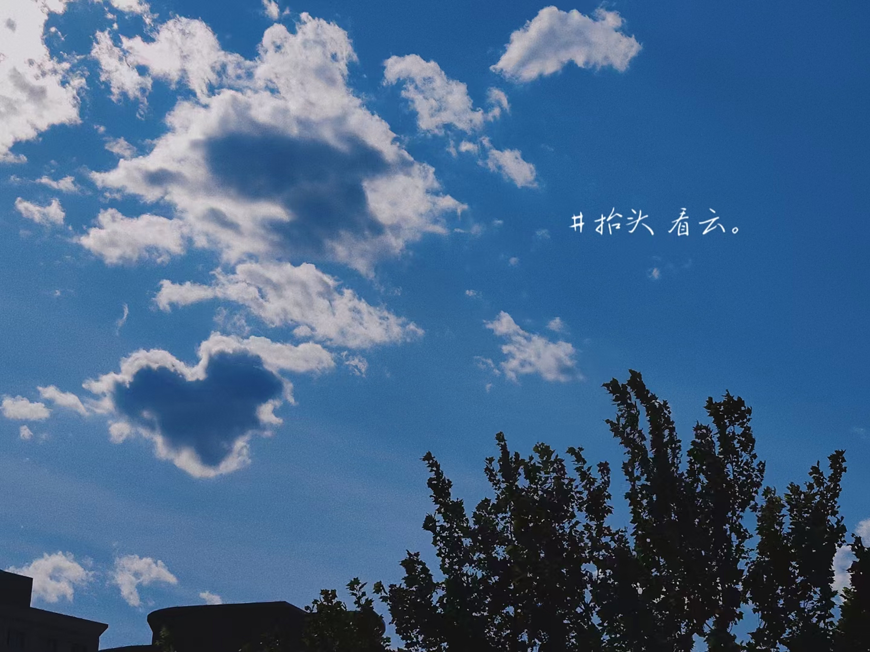 题目:心形的云朵  在一片湛蓝的天空下,一朵形状独特的云彩吸引了我们