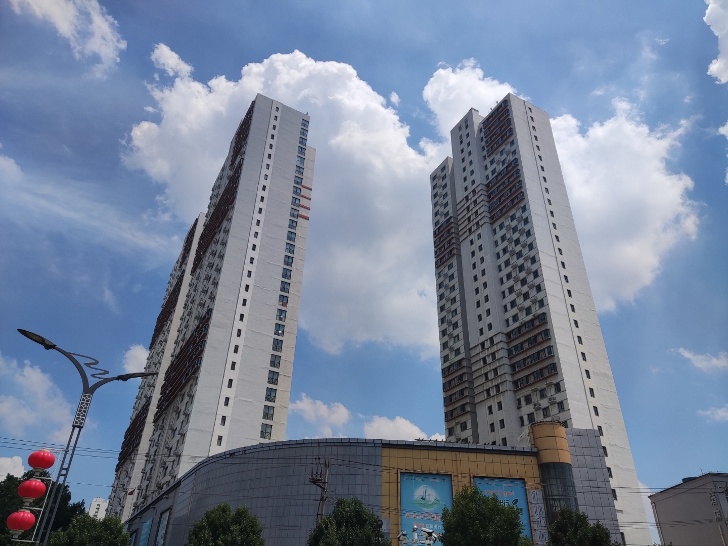 今天,我所在的城市被一层细密的雨幕笼罩,仿佛整个世界都被洗刷得清新