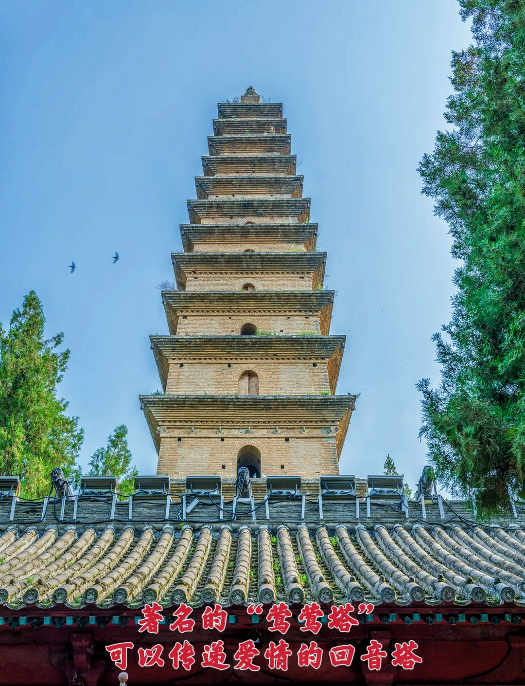 普救寺中"重温"《西厢记icon》