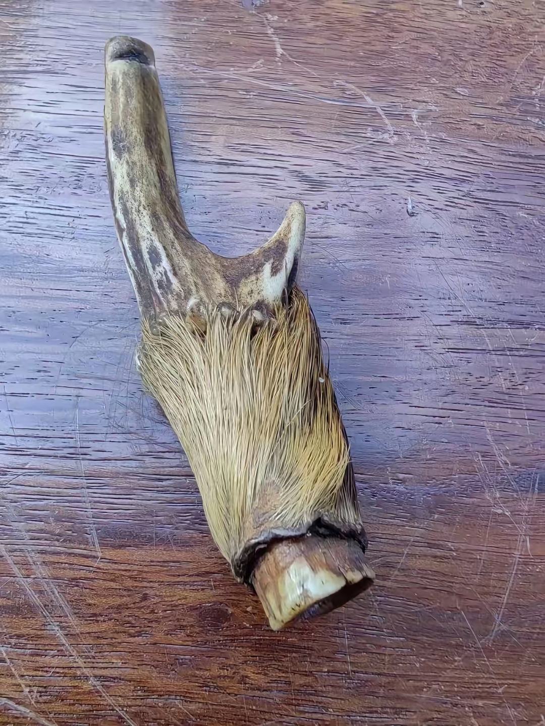 闲着没事干,收拾屋子的时候,居然发现爸爸收藏的这个