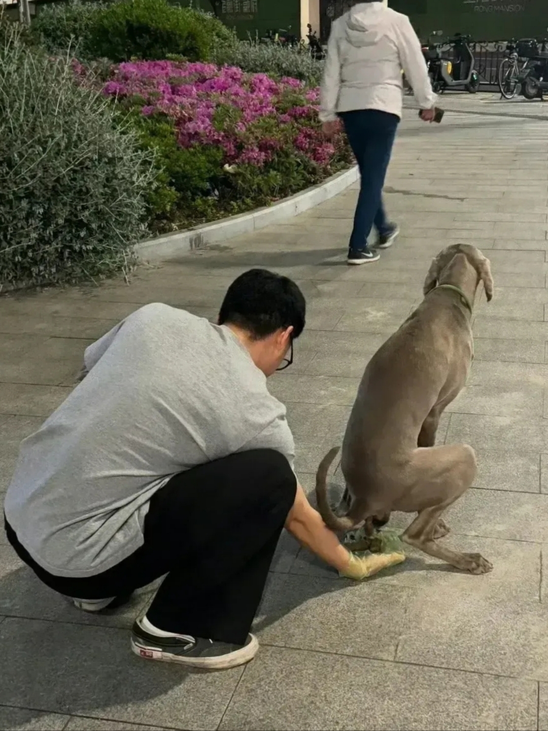 人学狗蹲着的图片图片