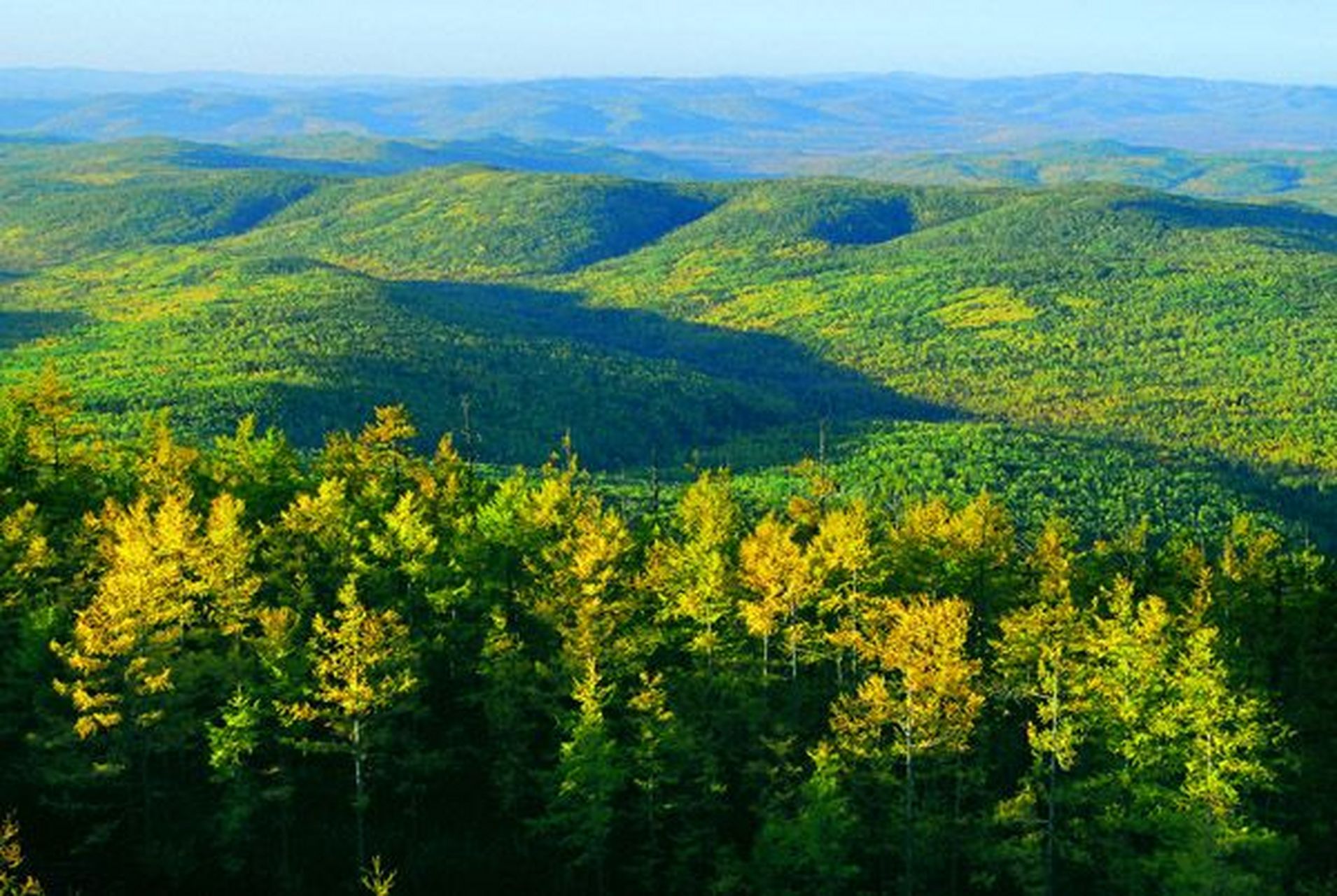 《白虎镇山大兴安岭》  大兴安岭又大兴安岭山脉,是兴安岭西部组成