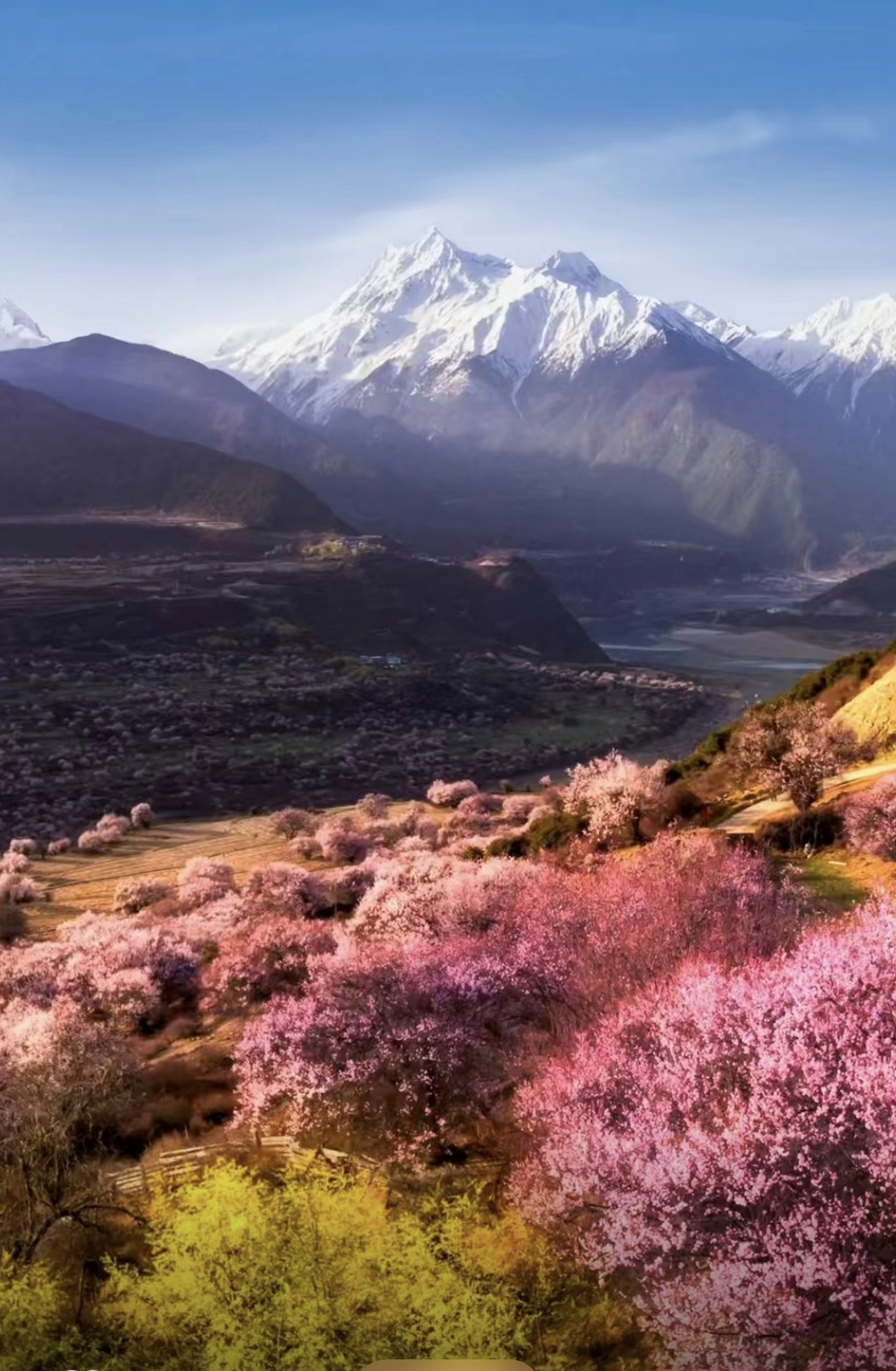 杂志风景图片大全图片