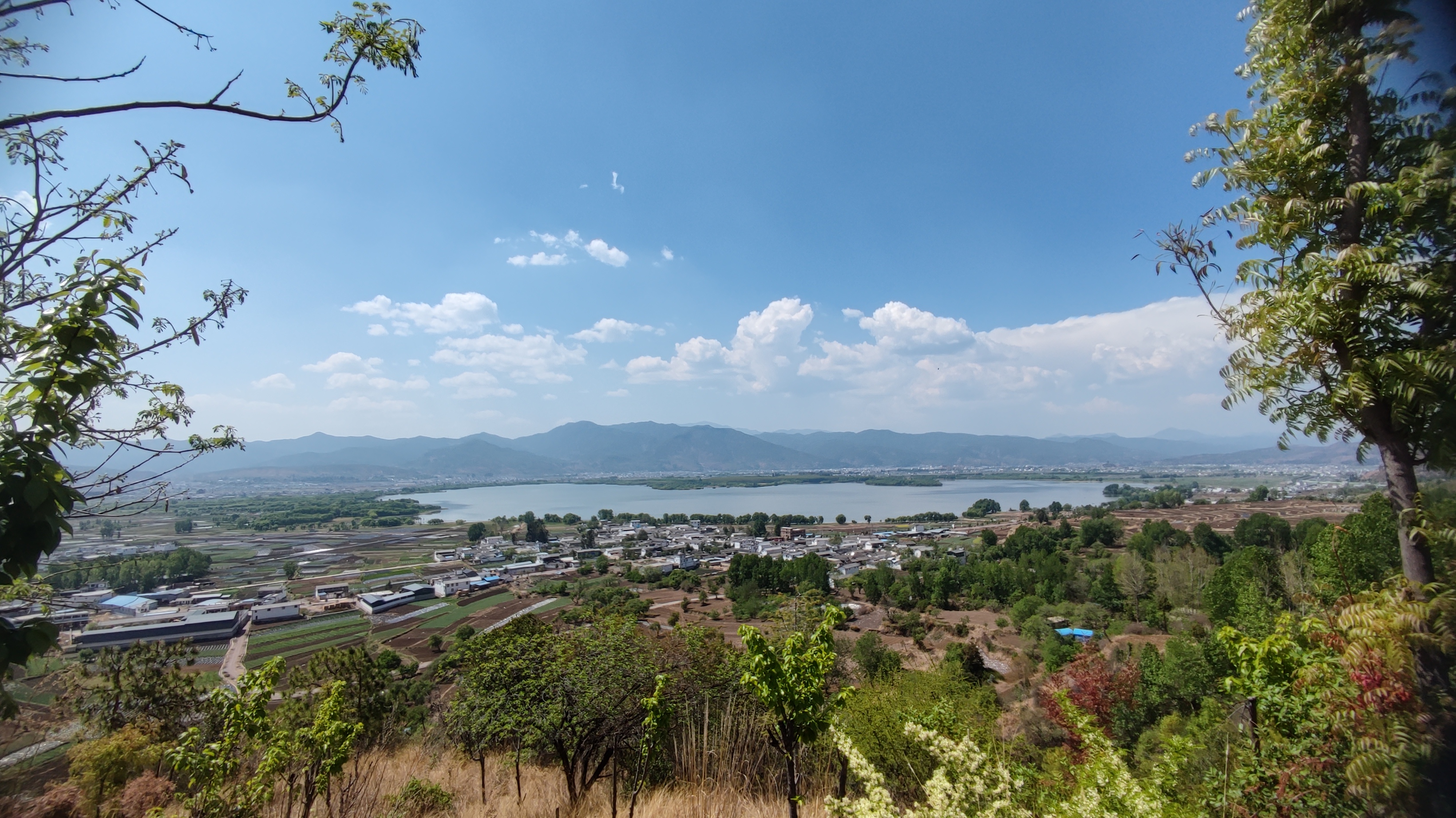 云南大理剑湖国家湿地公园