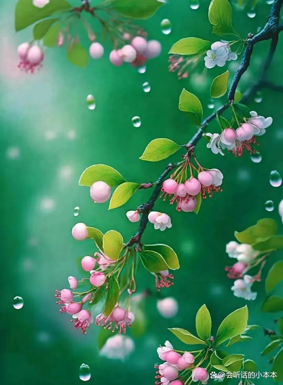 居住在哪些大城市幸福指数高?