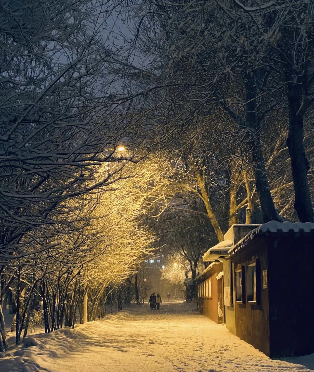 城市下雪图片 真实图片