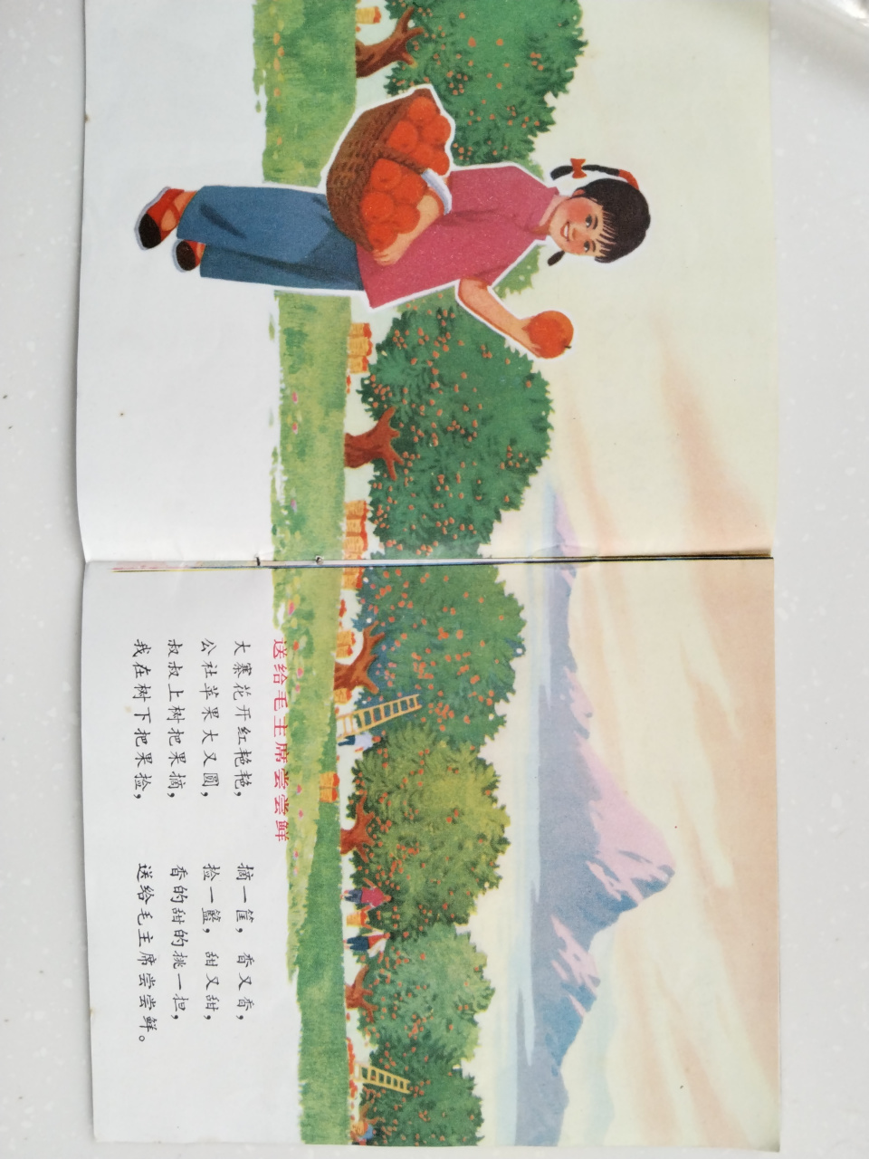 经典小人书,红色少年《党是阳光我是花》.