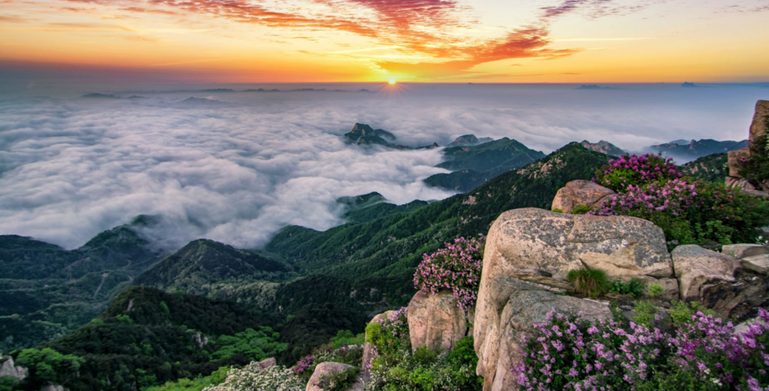 泰山山顶的风景图片