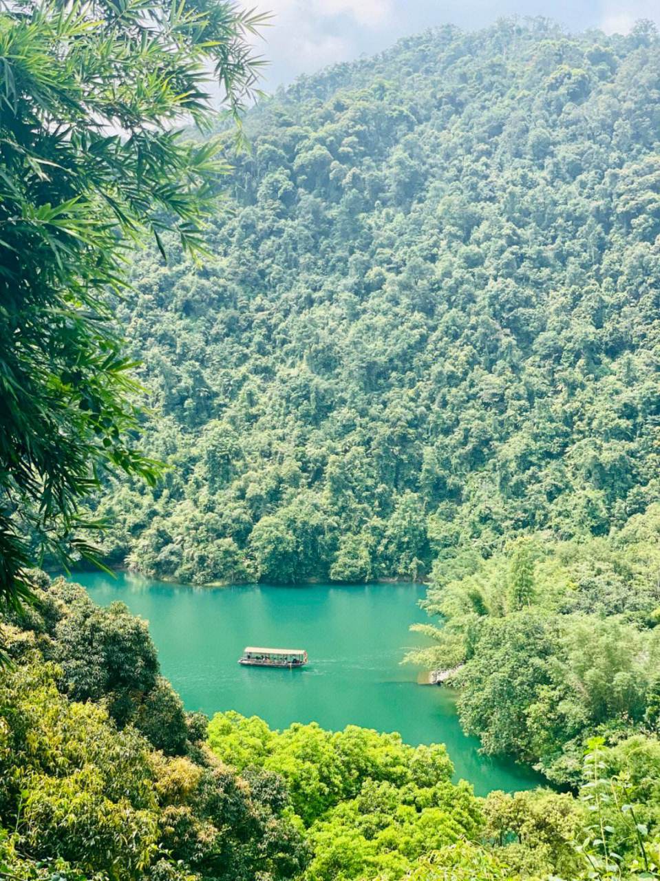 鼎湖山美景
