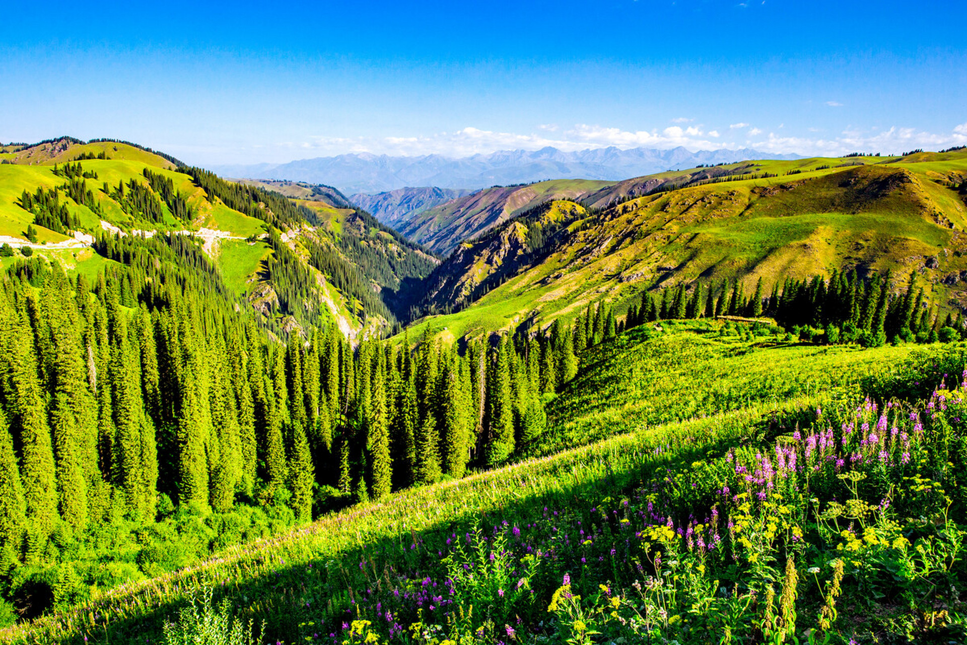 视觉盛宴——天山