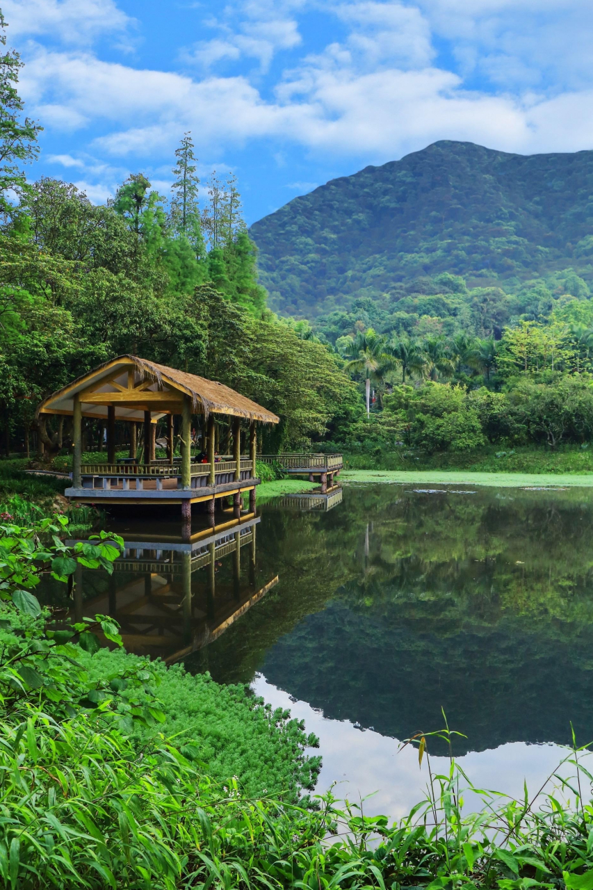 鼎湖山美景