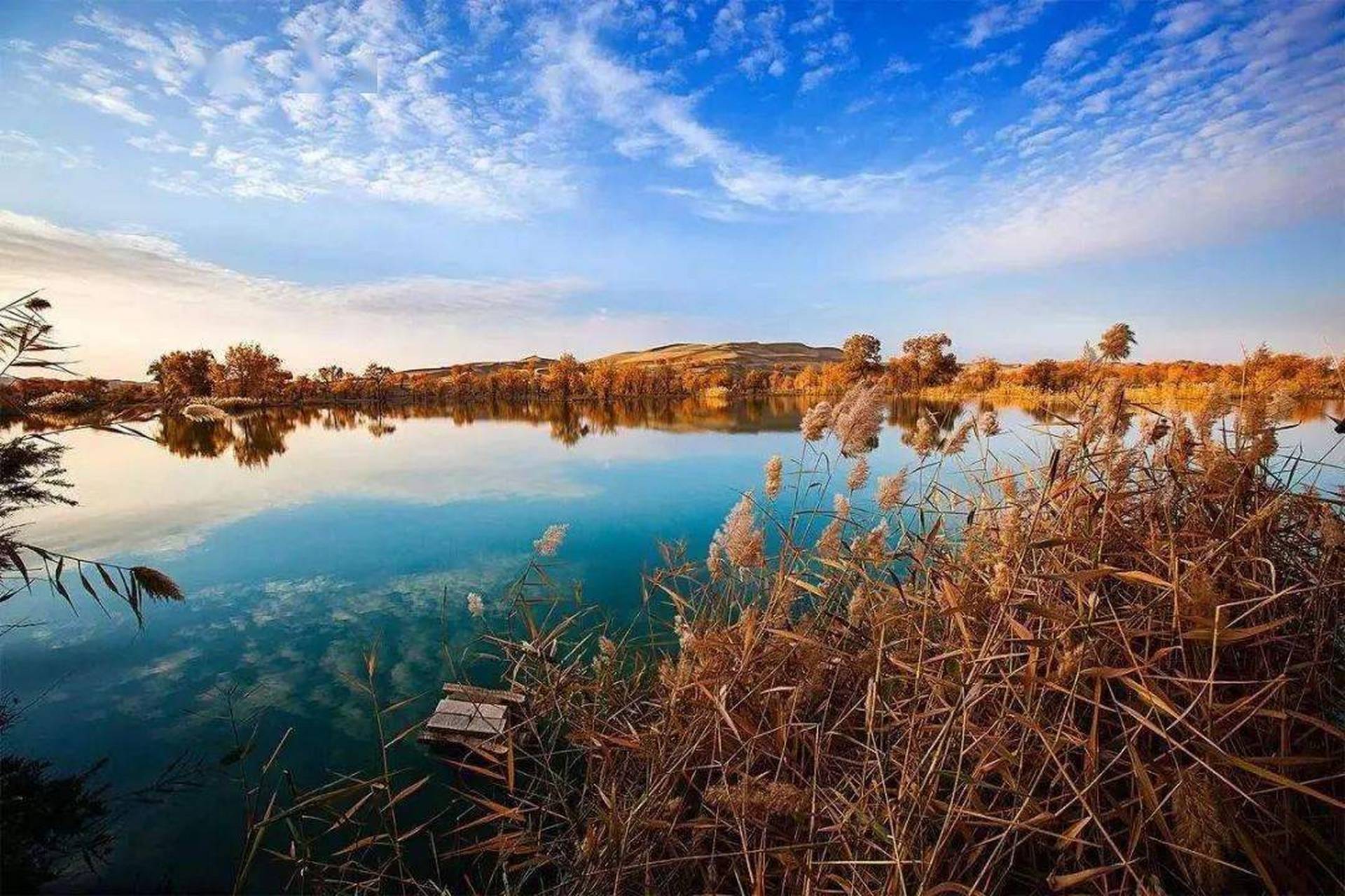 海拔最低原生态湖―艾丁湖