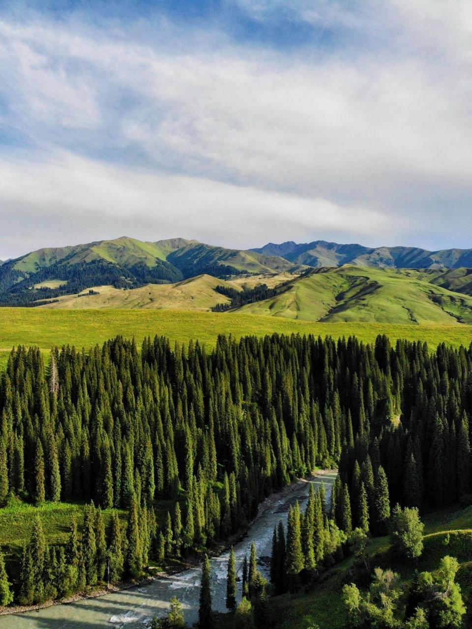百里画廊——唐布拉草原