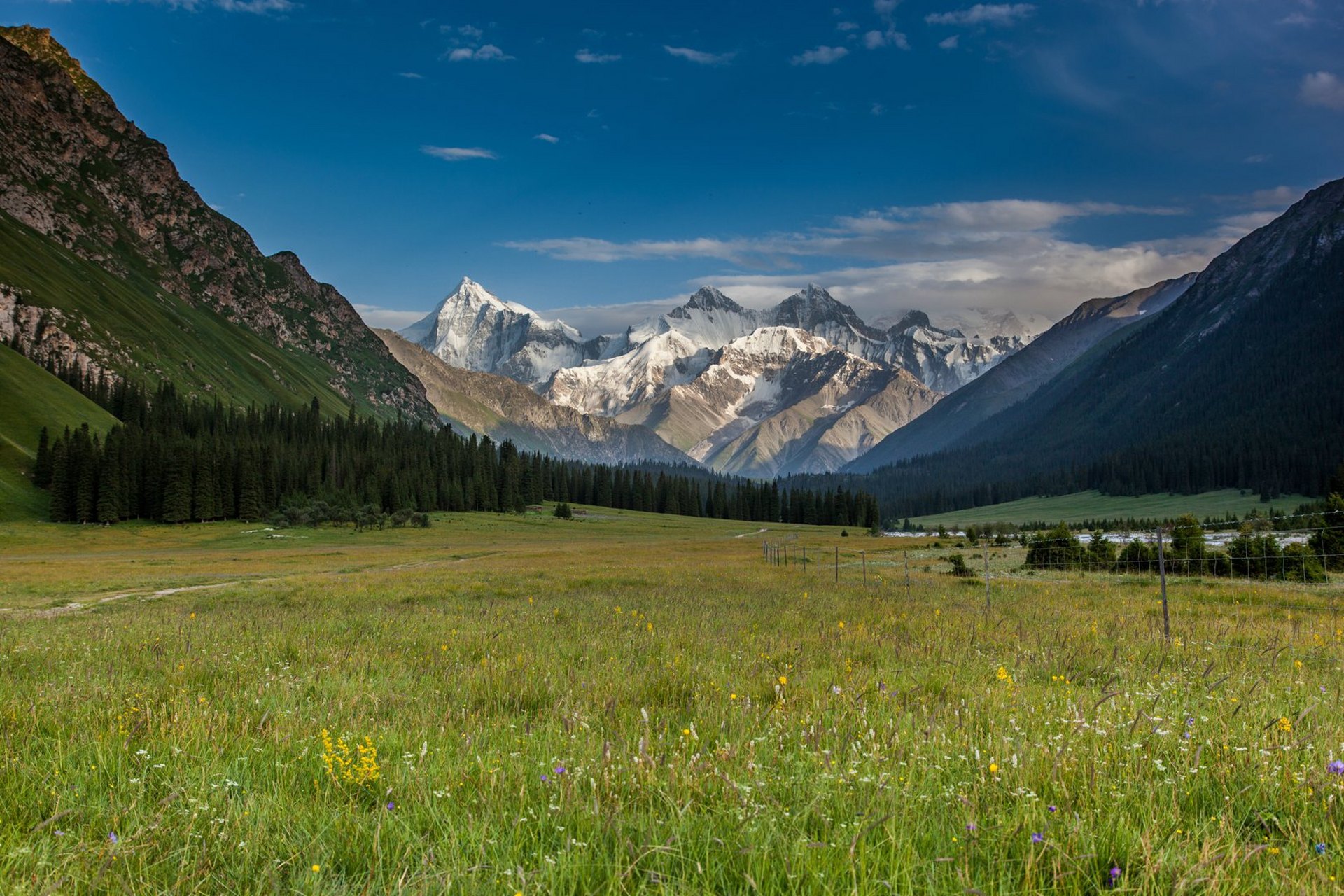 视觉盛宴——天山
