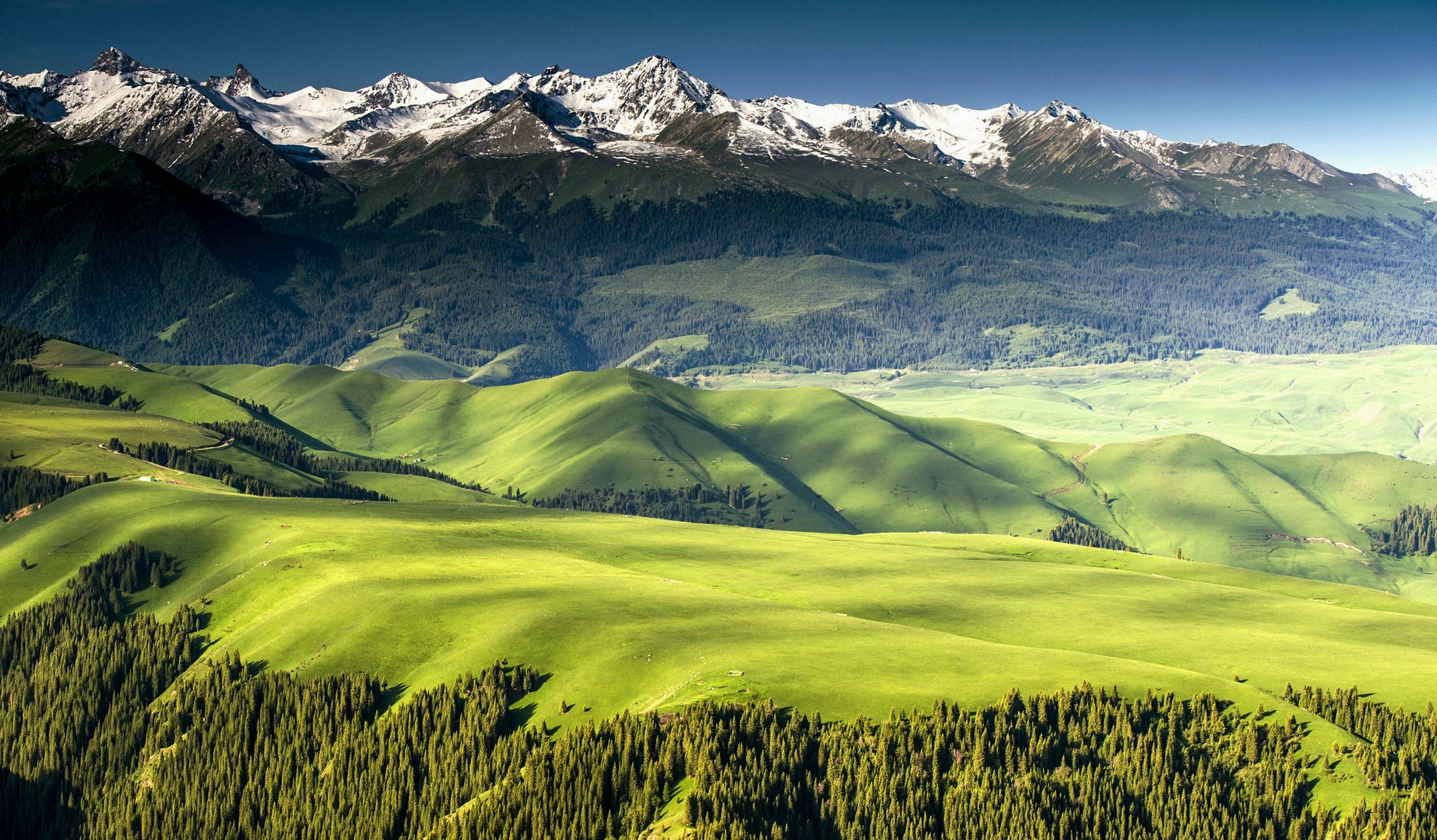 视觉盛宴——天山