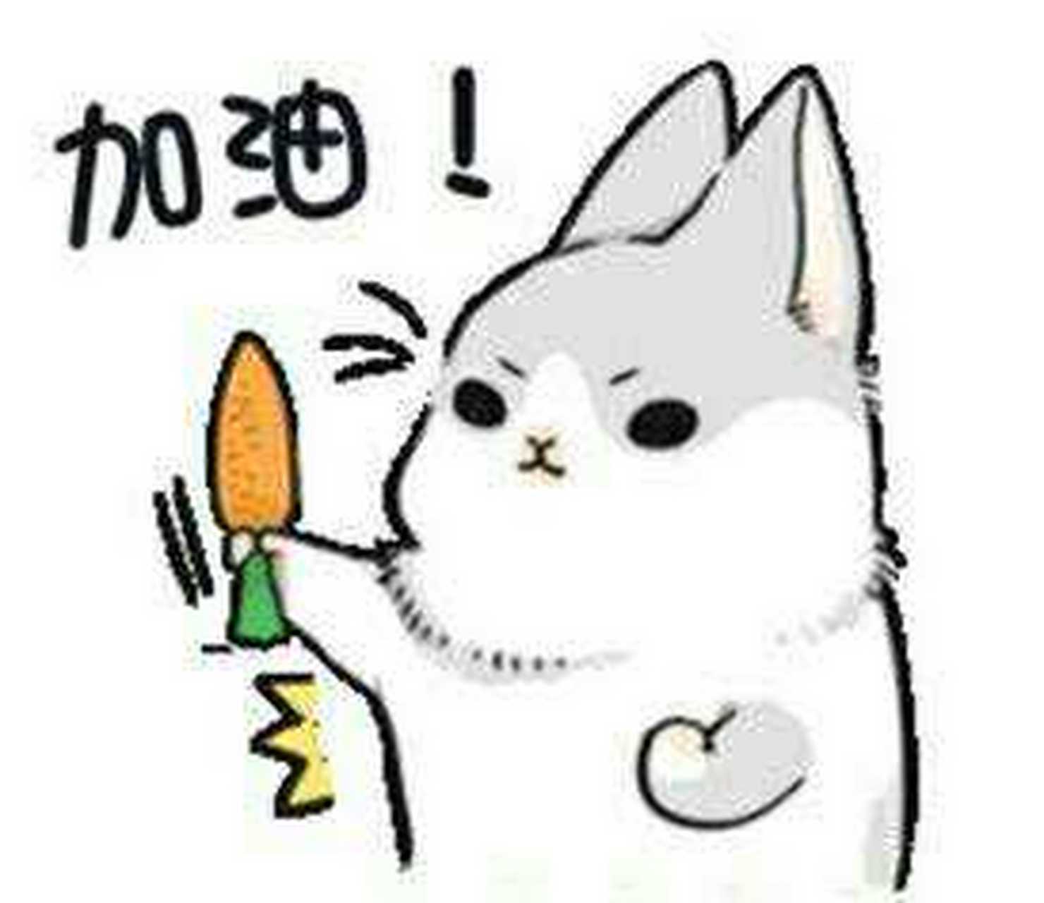 考前生病是种什么感觉[捂脸] 我叫不紧张,我叫不紧张[泪奔]