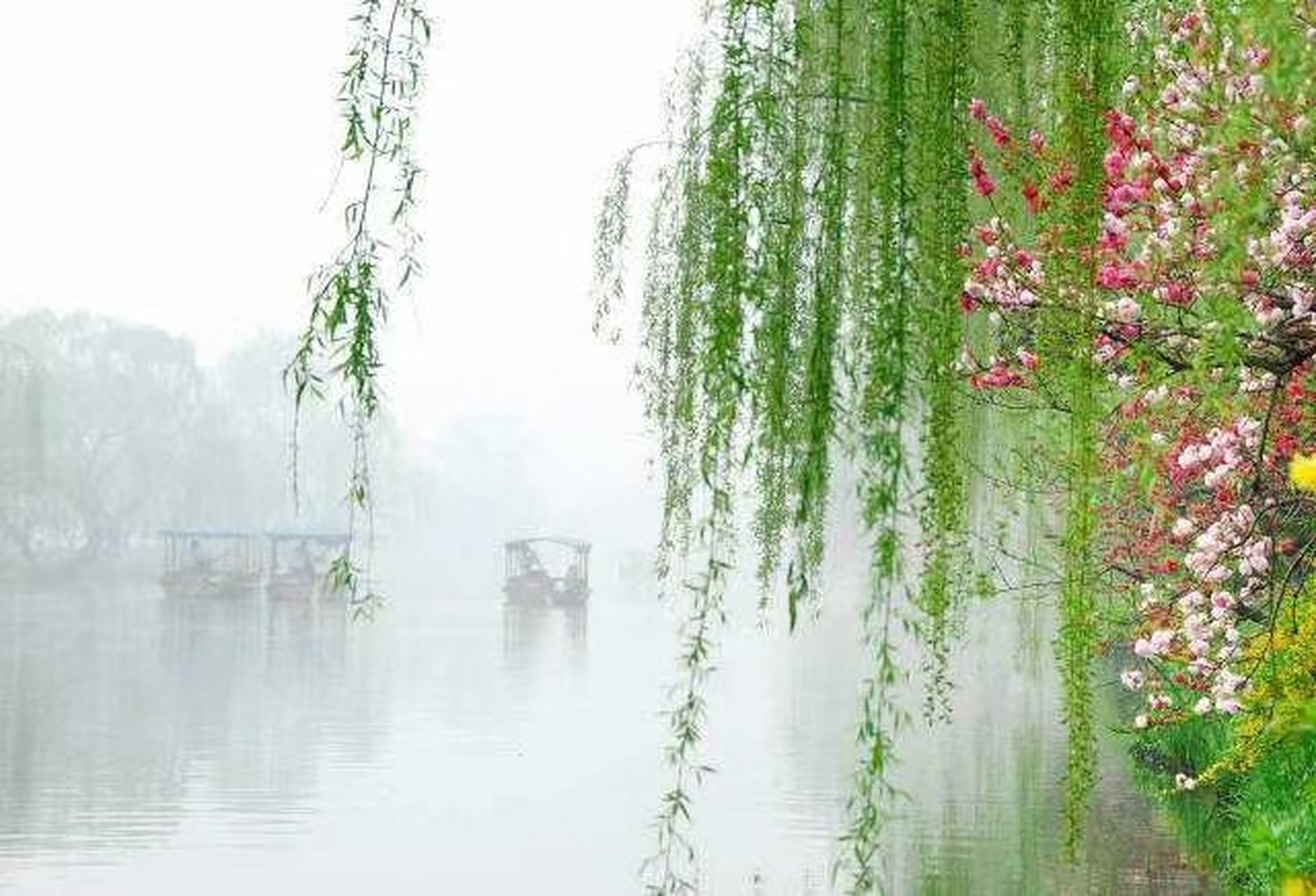 青泥足下起,池池沐风鳞,烟雨戏肥柳,尽是粉桃红.